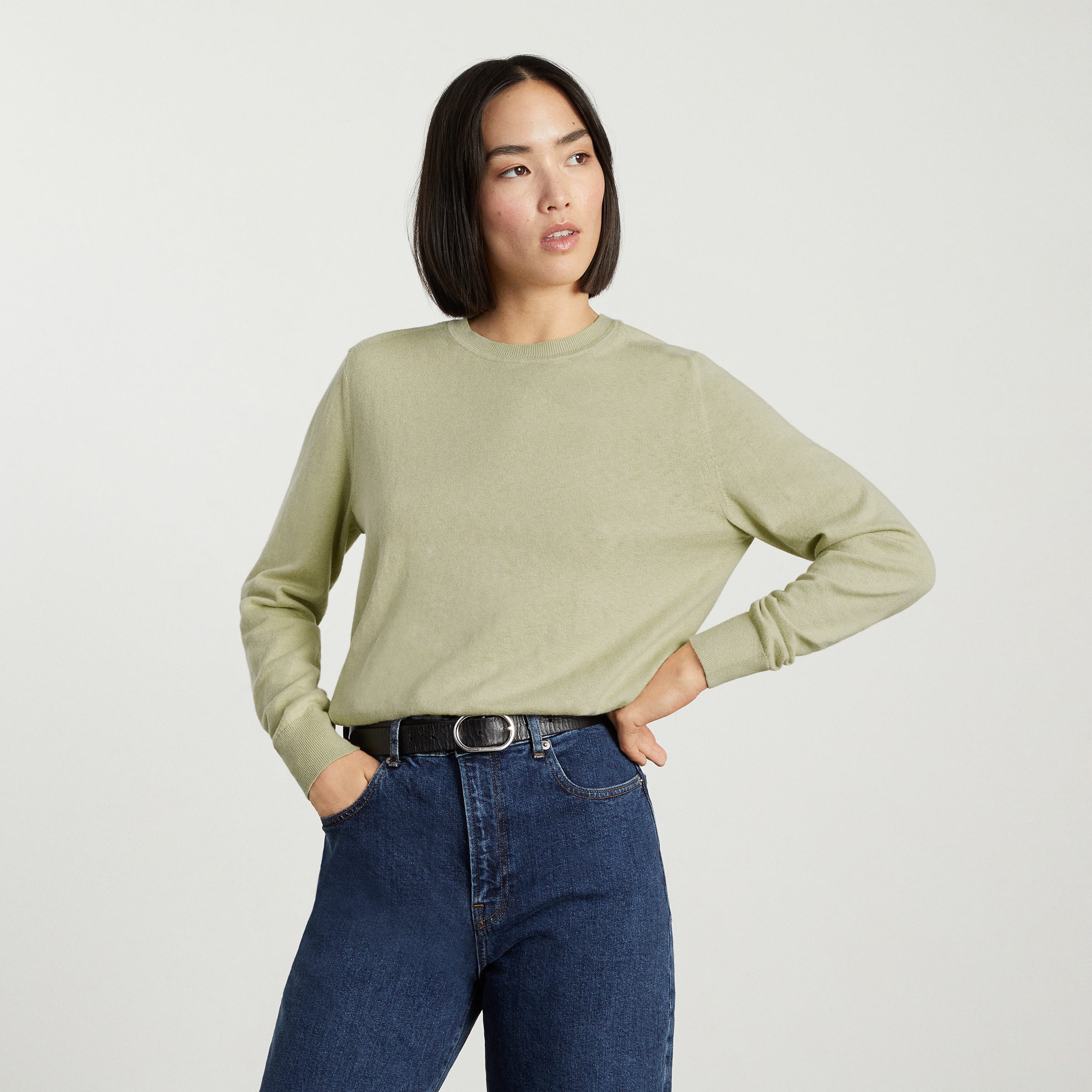 The Organic Cotton Crewneck Sweater Sage – Everlane