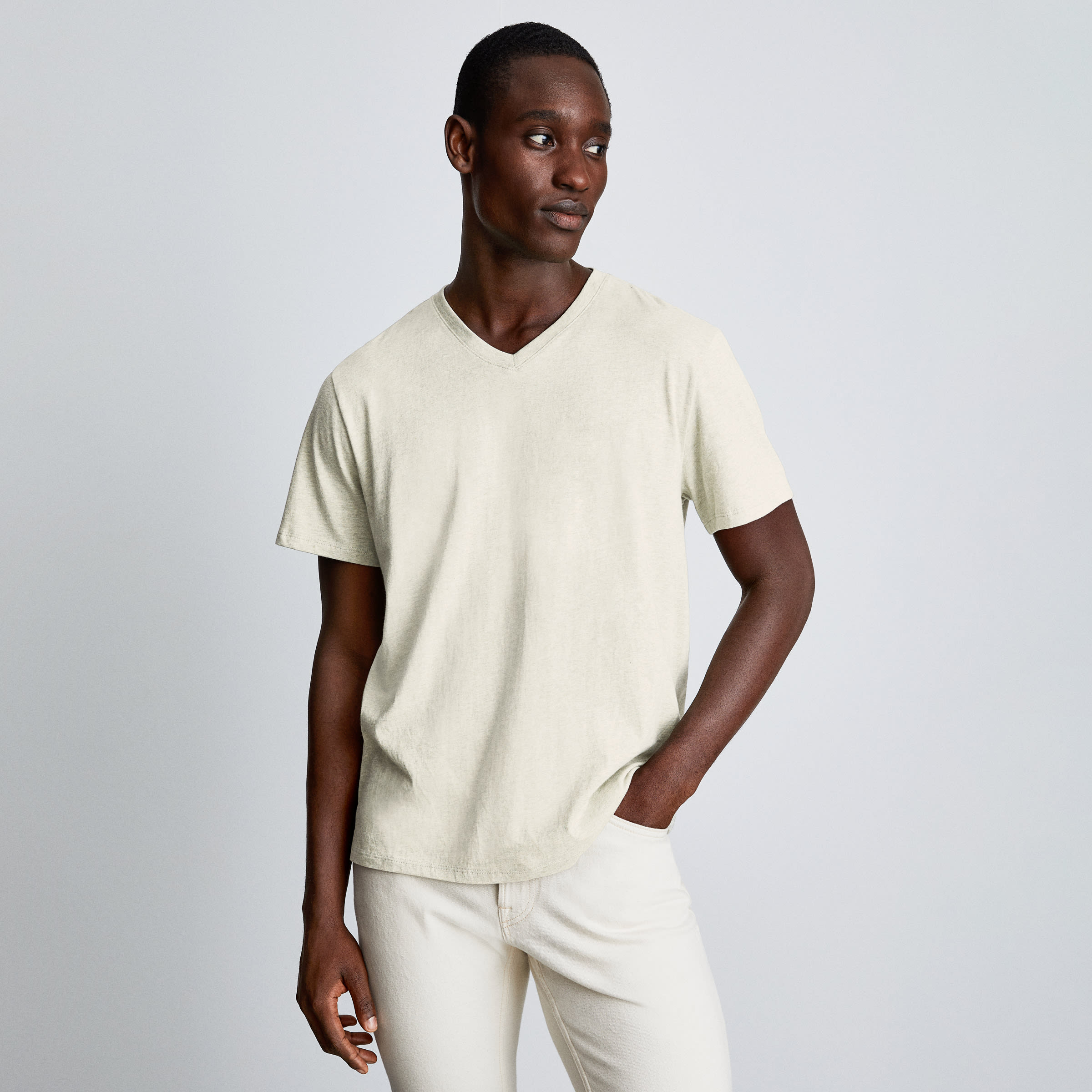 The Organic Cotton V-Neck Tee Heathered Light Green – Everlane