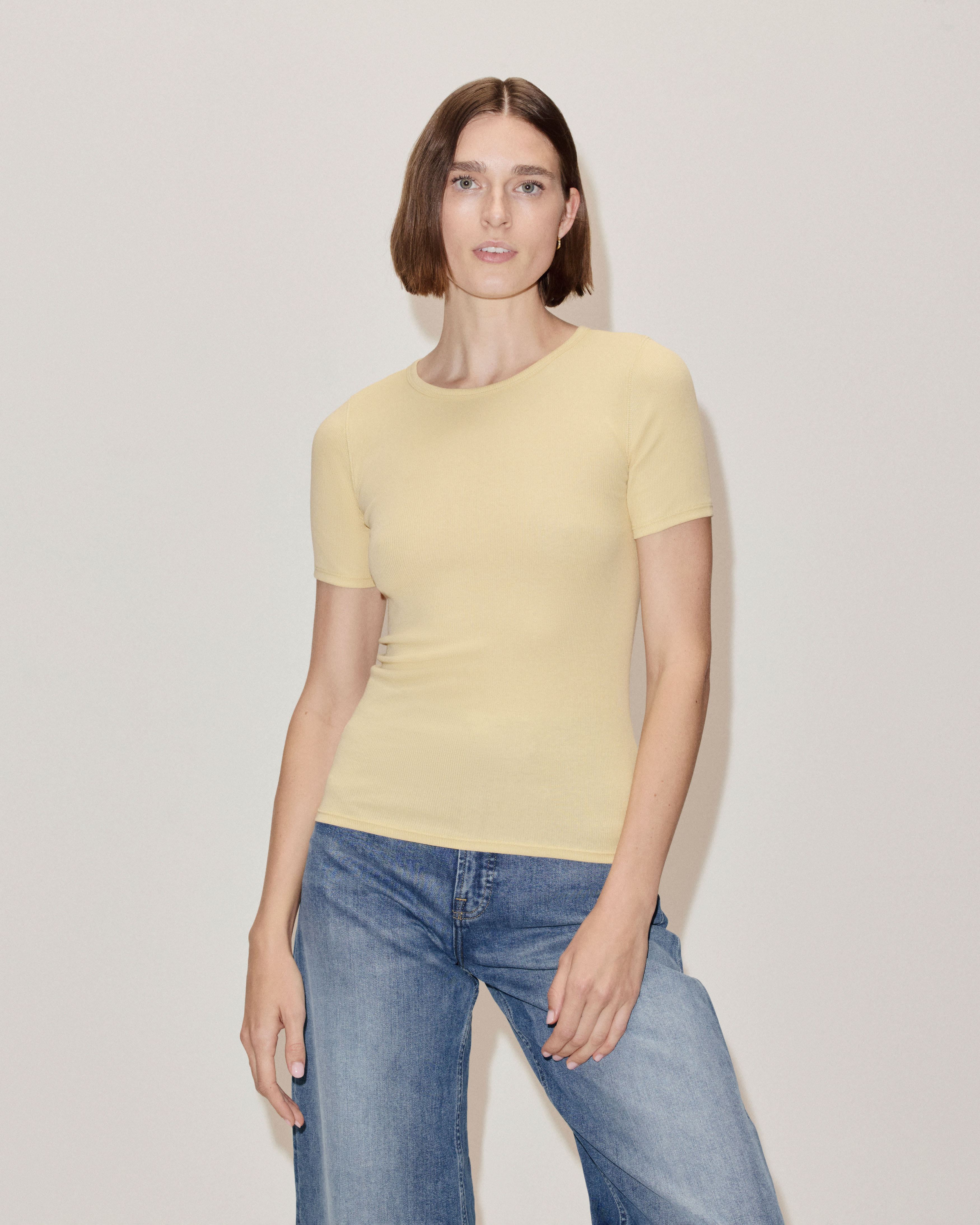 The Luxe Micro-Rib Crew Parsnip – Everlane