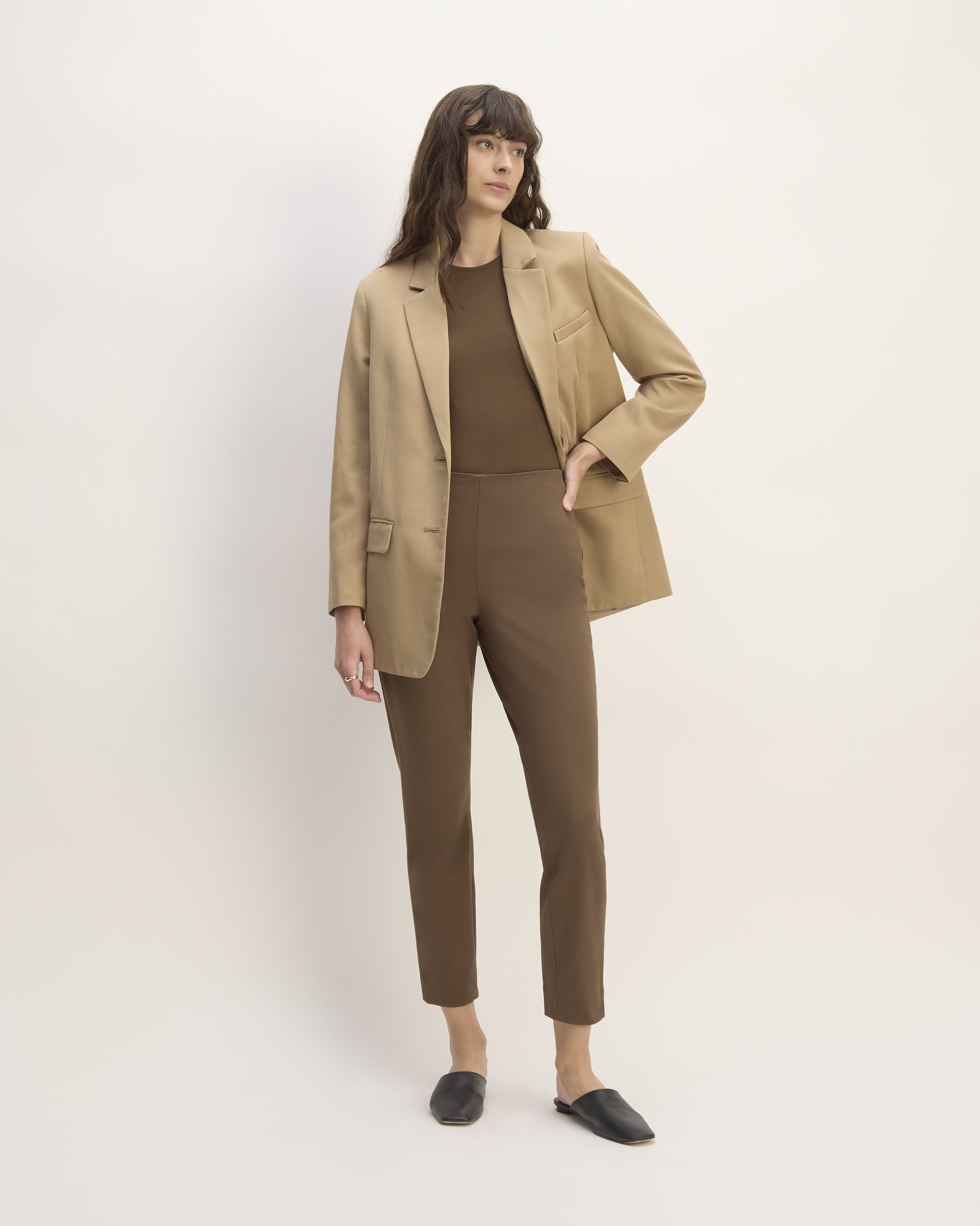 Everlane curvy work pants online