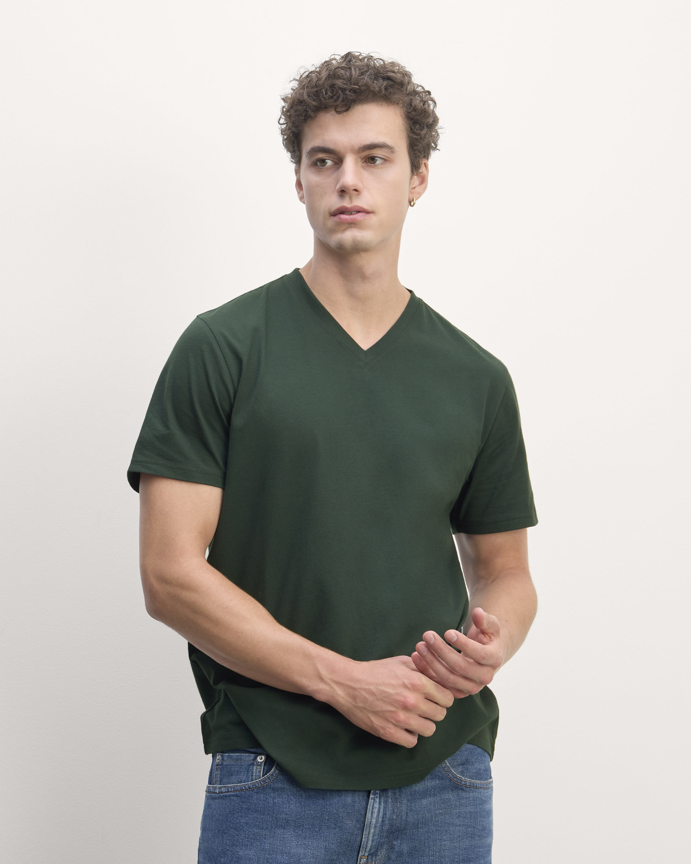 The Essential Organic V-Neck Tee Scarab – Everlane