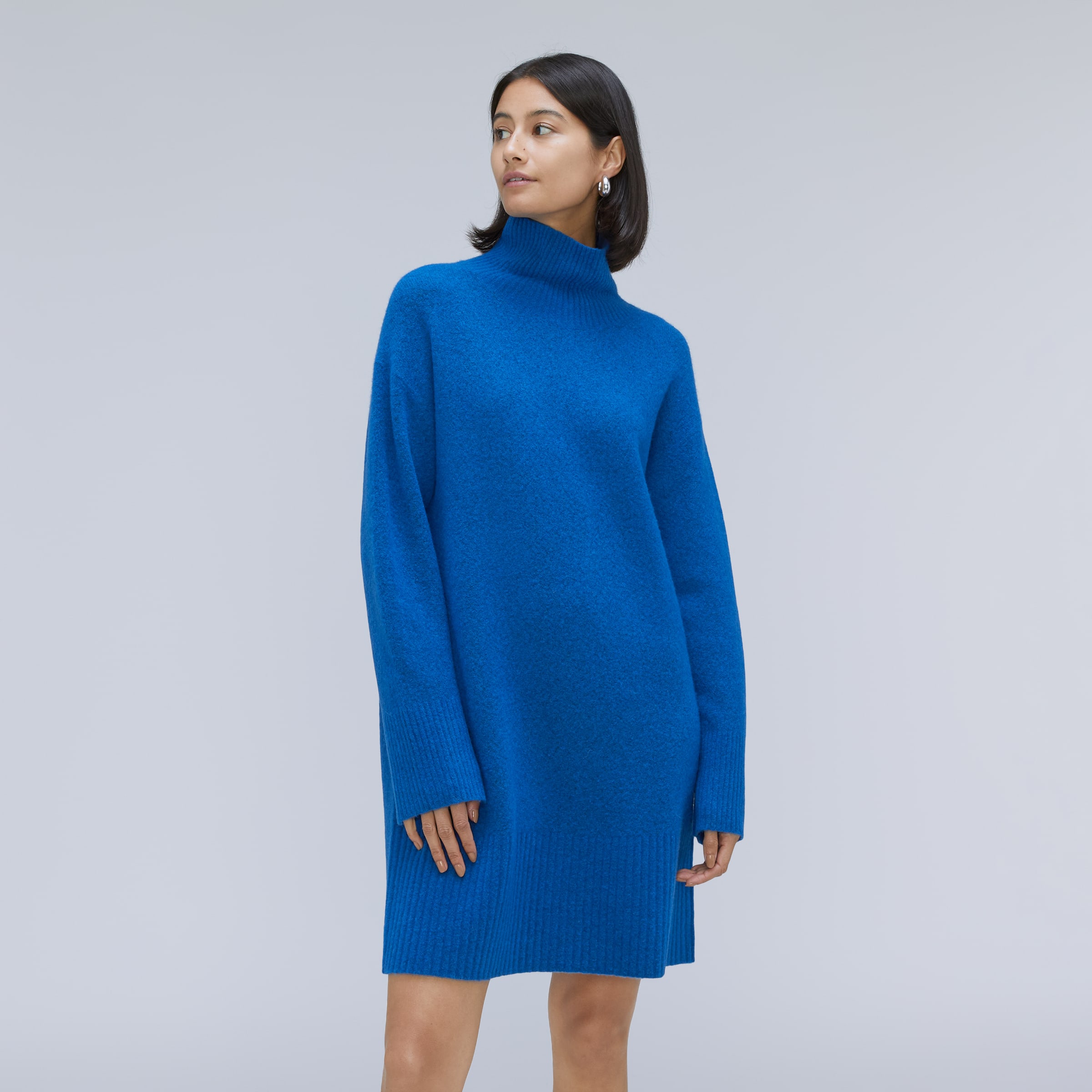 The Cozy Stretch Turtleneck Dress Heathered Lapis Blue – Everlane