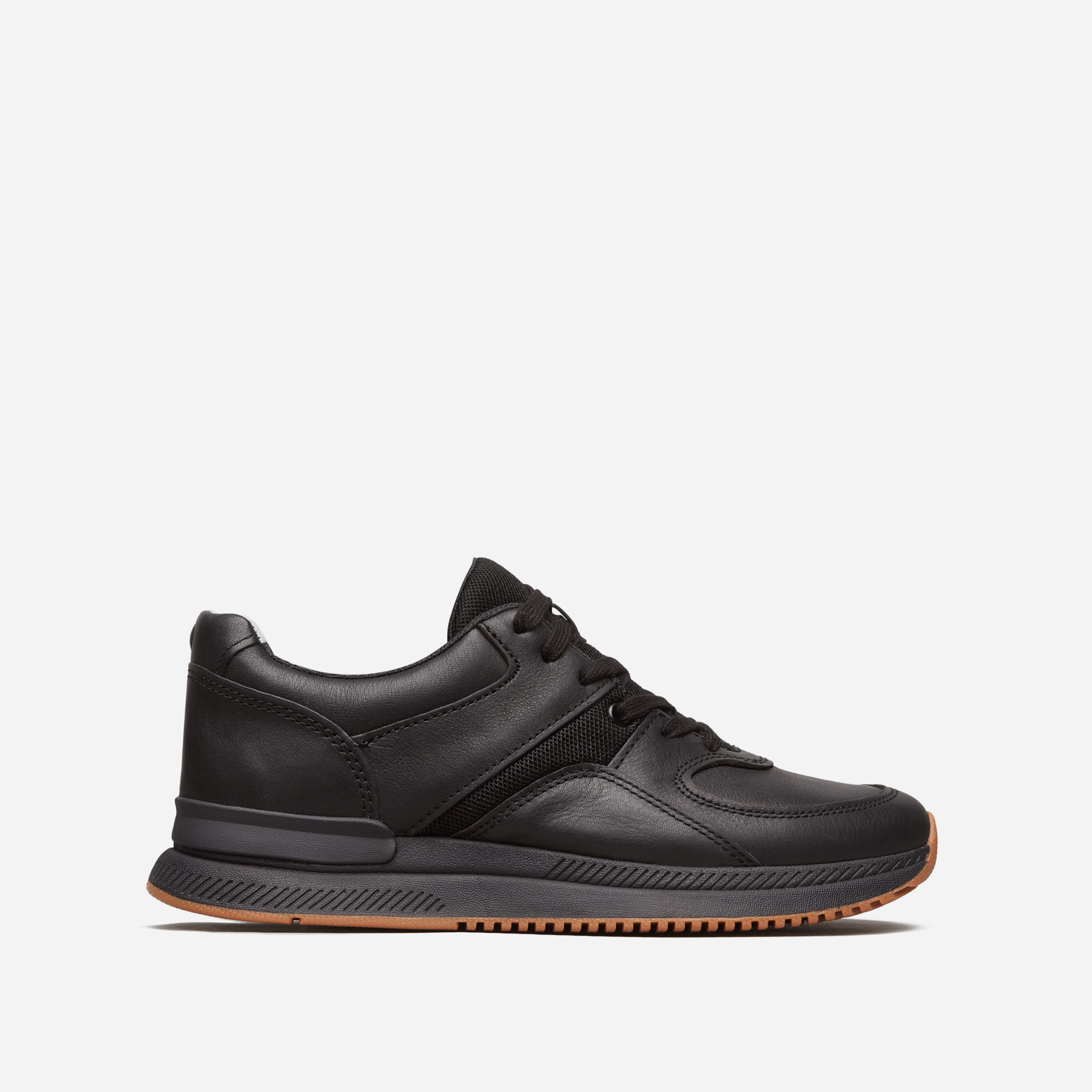 everlane trainer sneaker