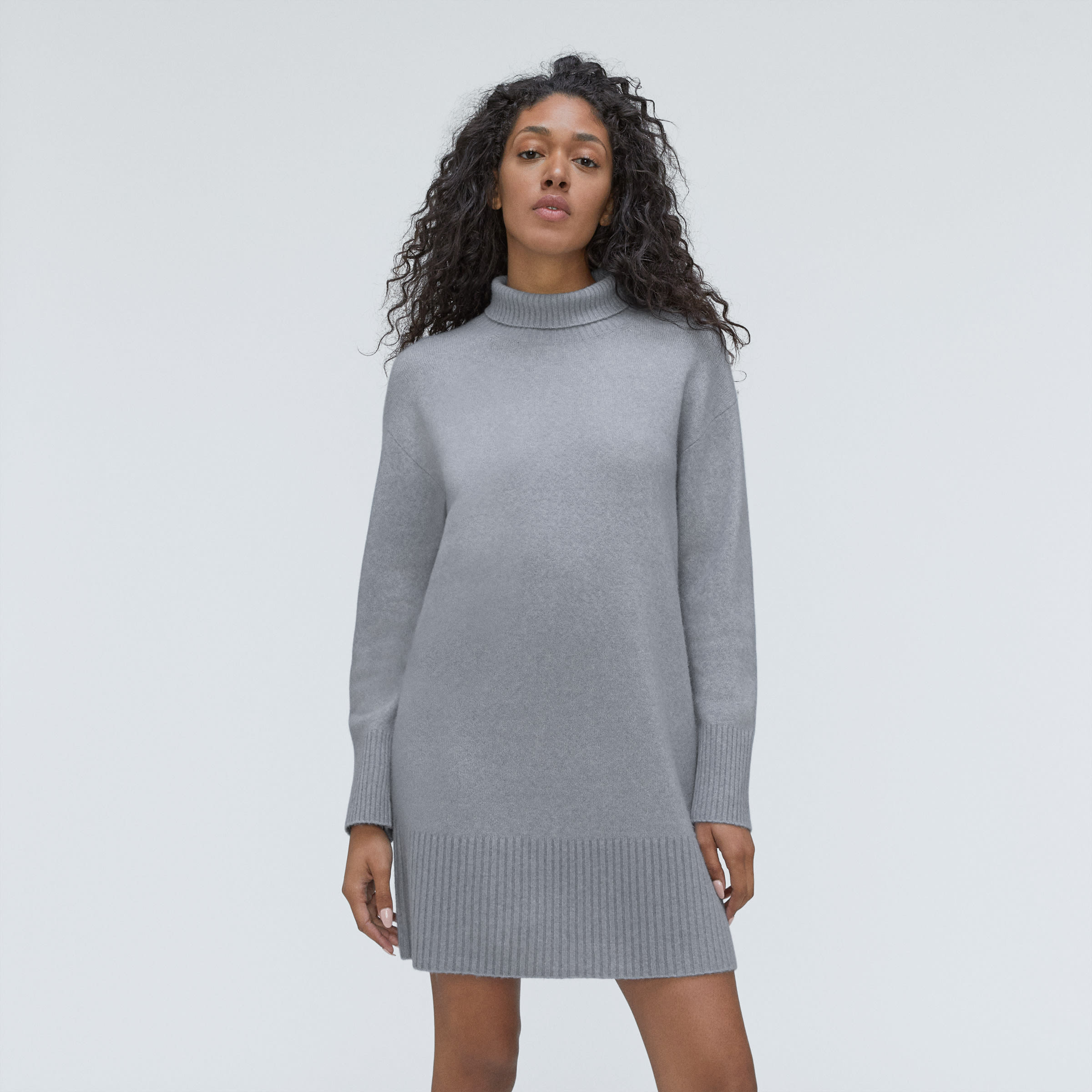 Everlane deals sweater dress