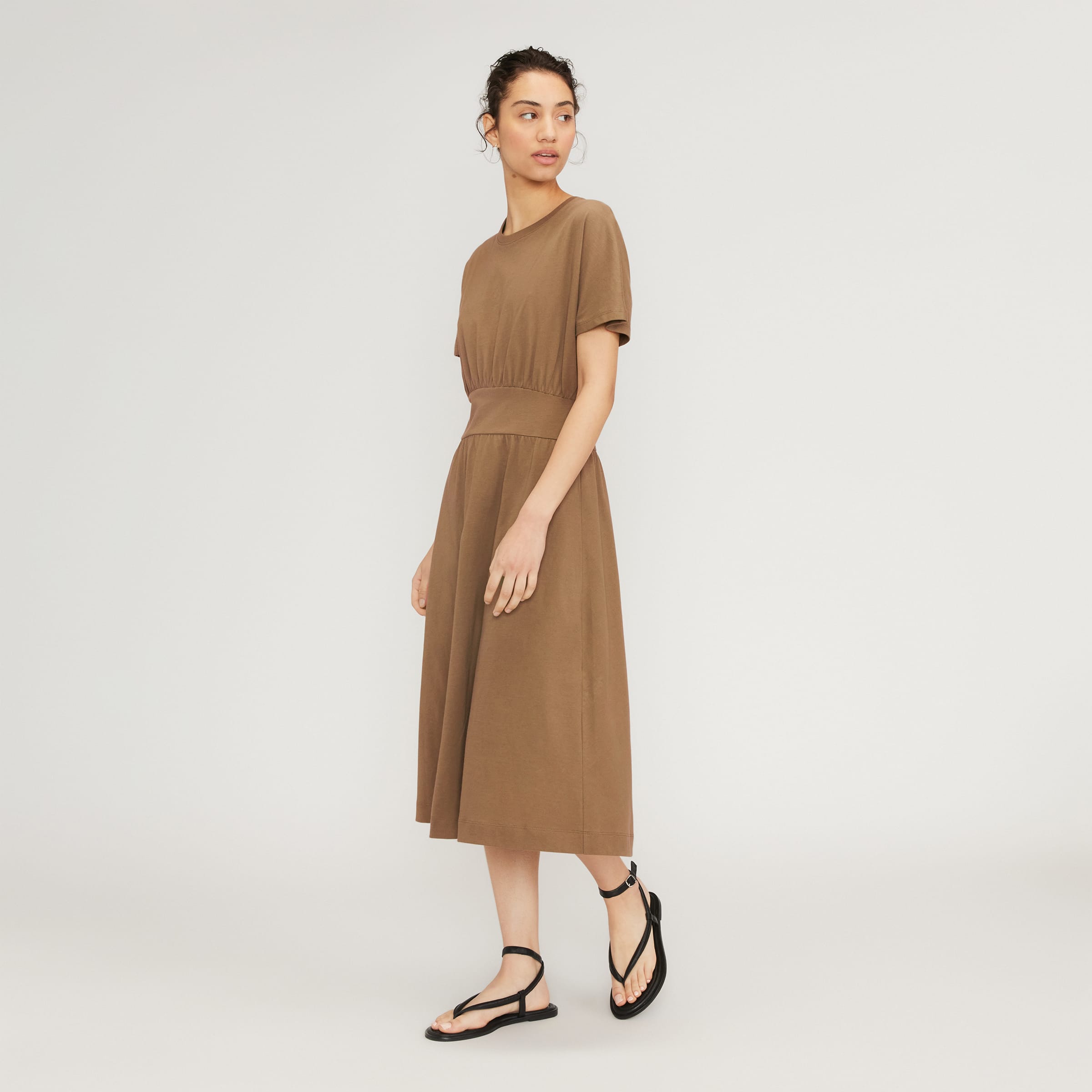 The Organic Cotton Waisted Dress Toasted Coconut – Everlane