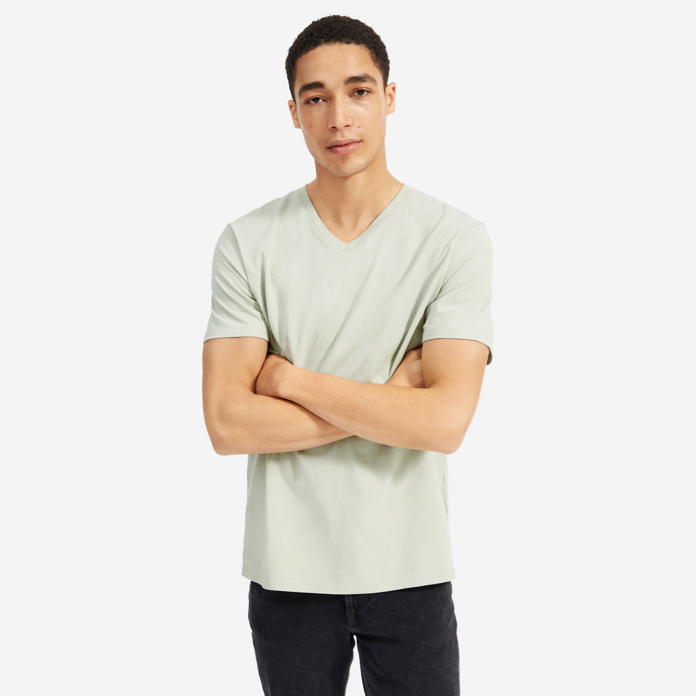 The Organic Cotton V-Neck Tee Sage – Everlane