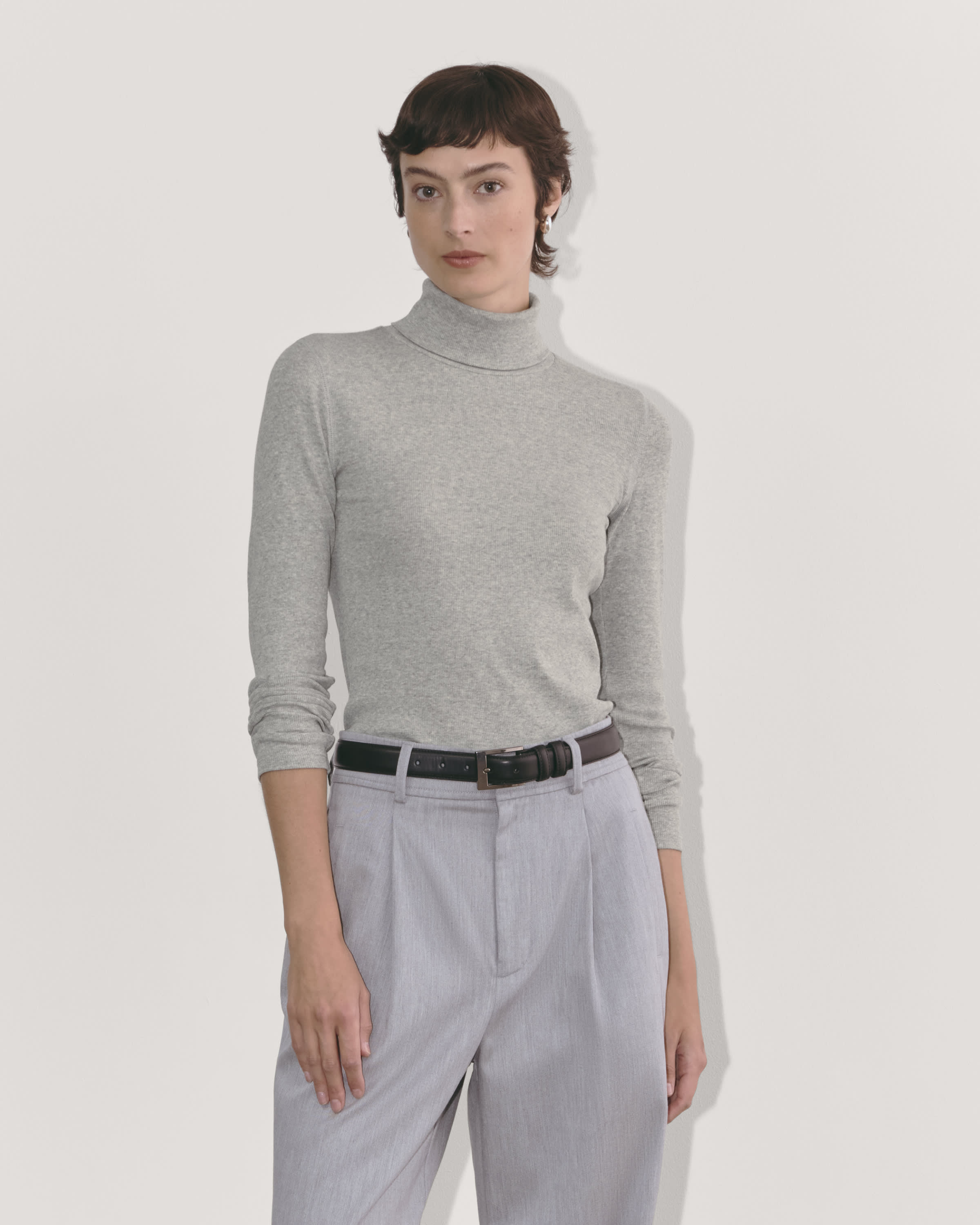 Everlane pima stretch turtleneck hotsell