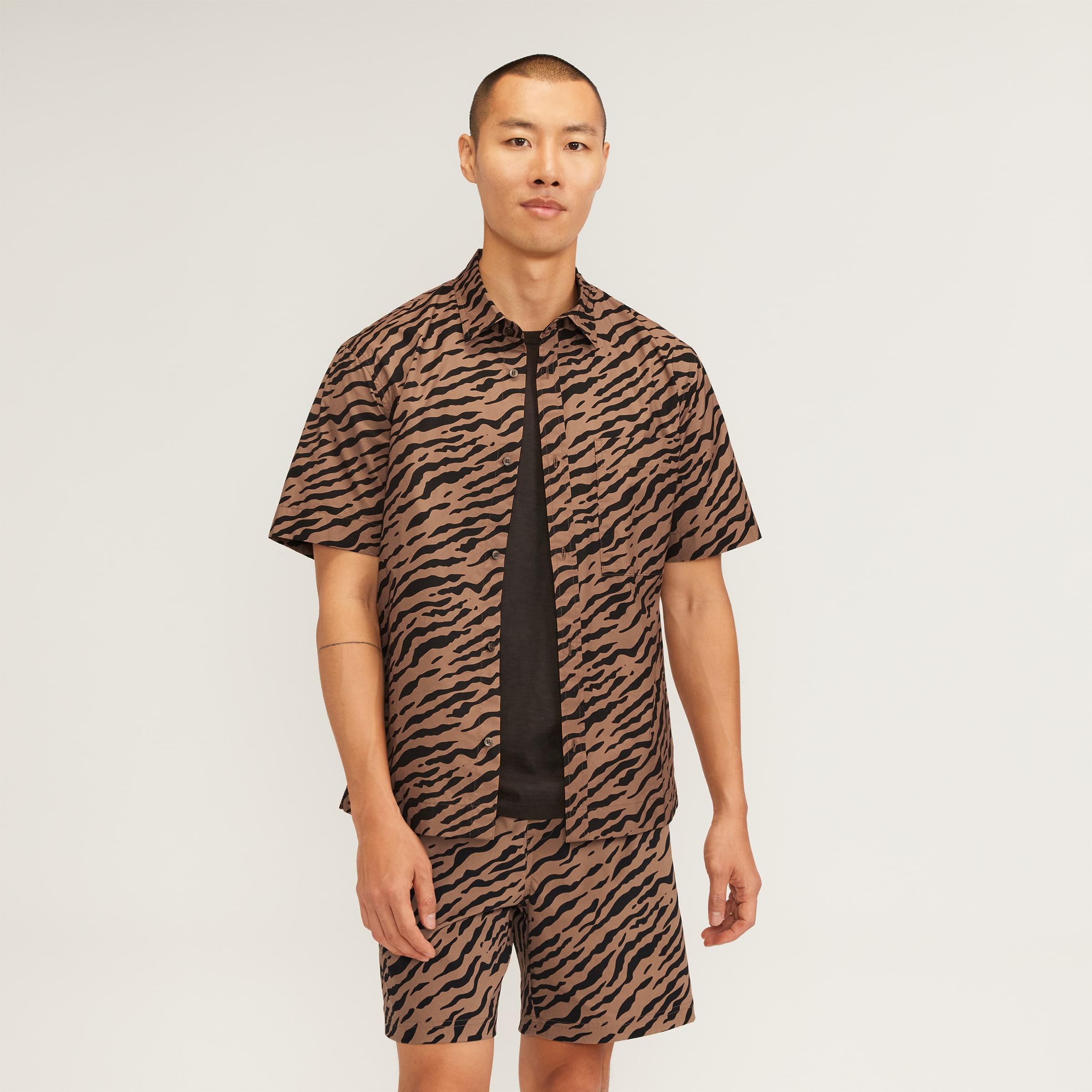 The Poplin Short-Sleeve Shirt Tiger Stripe Toasted Coconut – Everlane