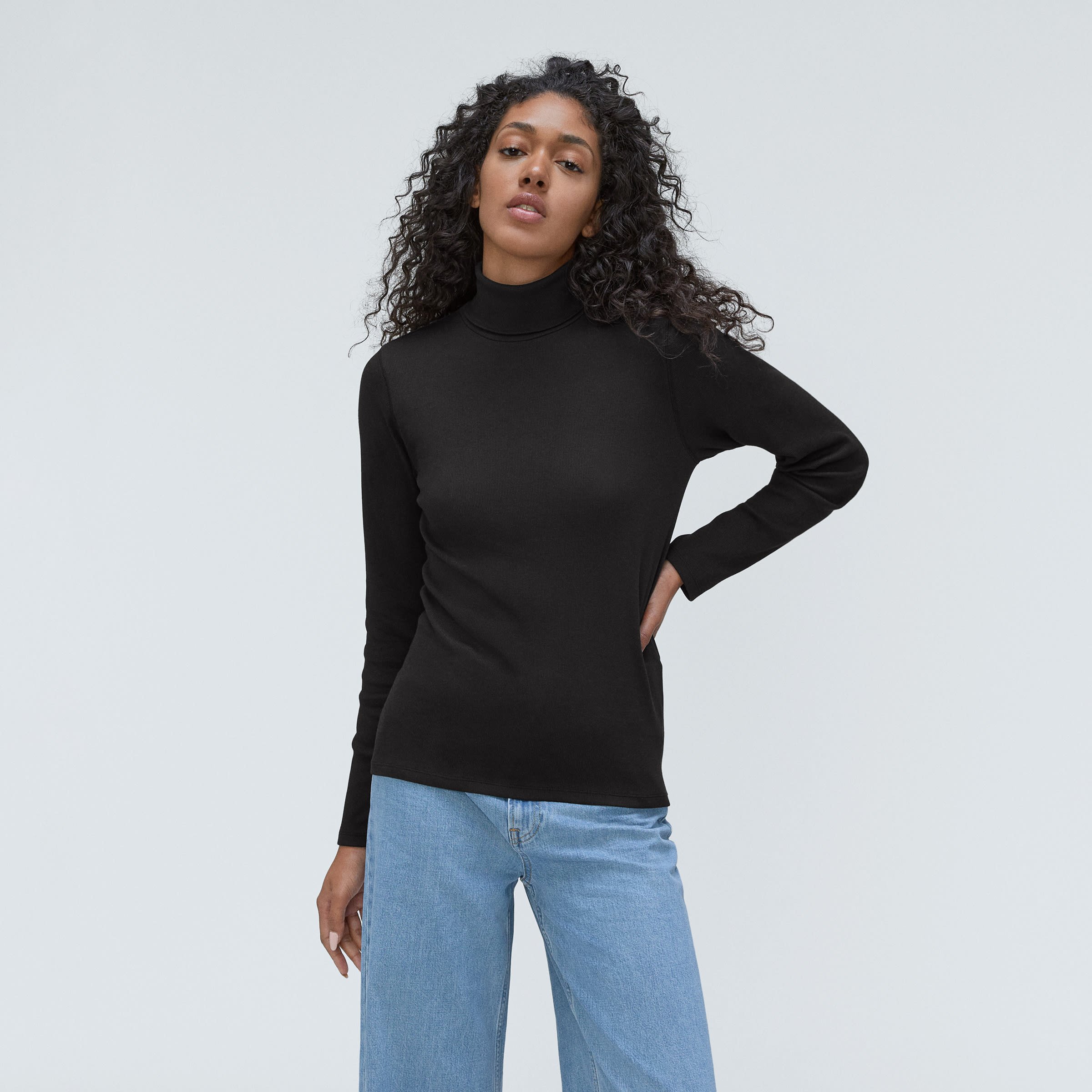 Everlane Women's Supima Micro-Rib Turtleneck Sweater in Black, Size Medium