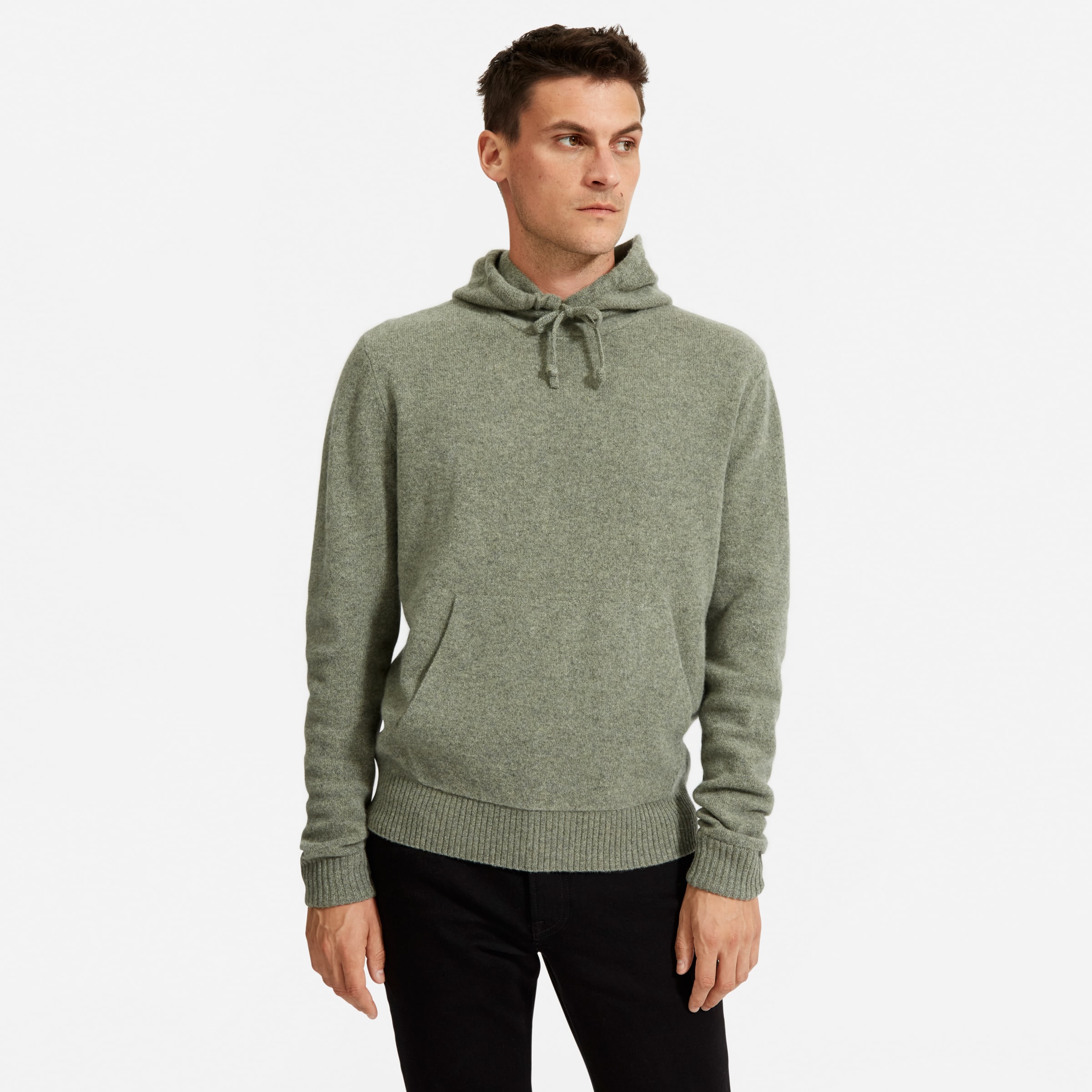 Everlane felted best sale merino hoodie