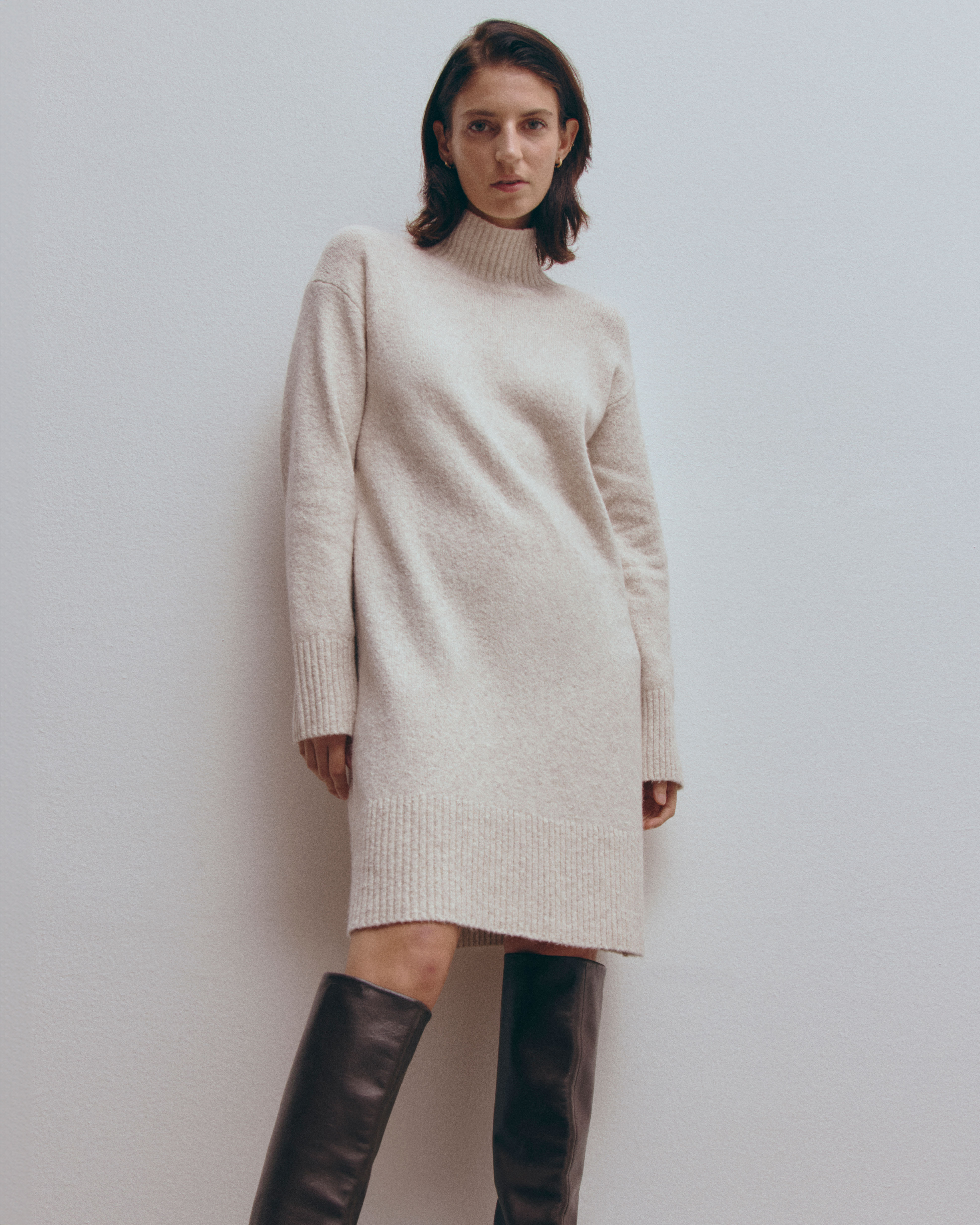 Everlane sweater dress online