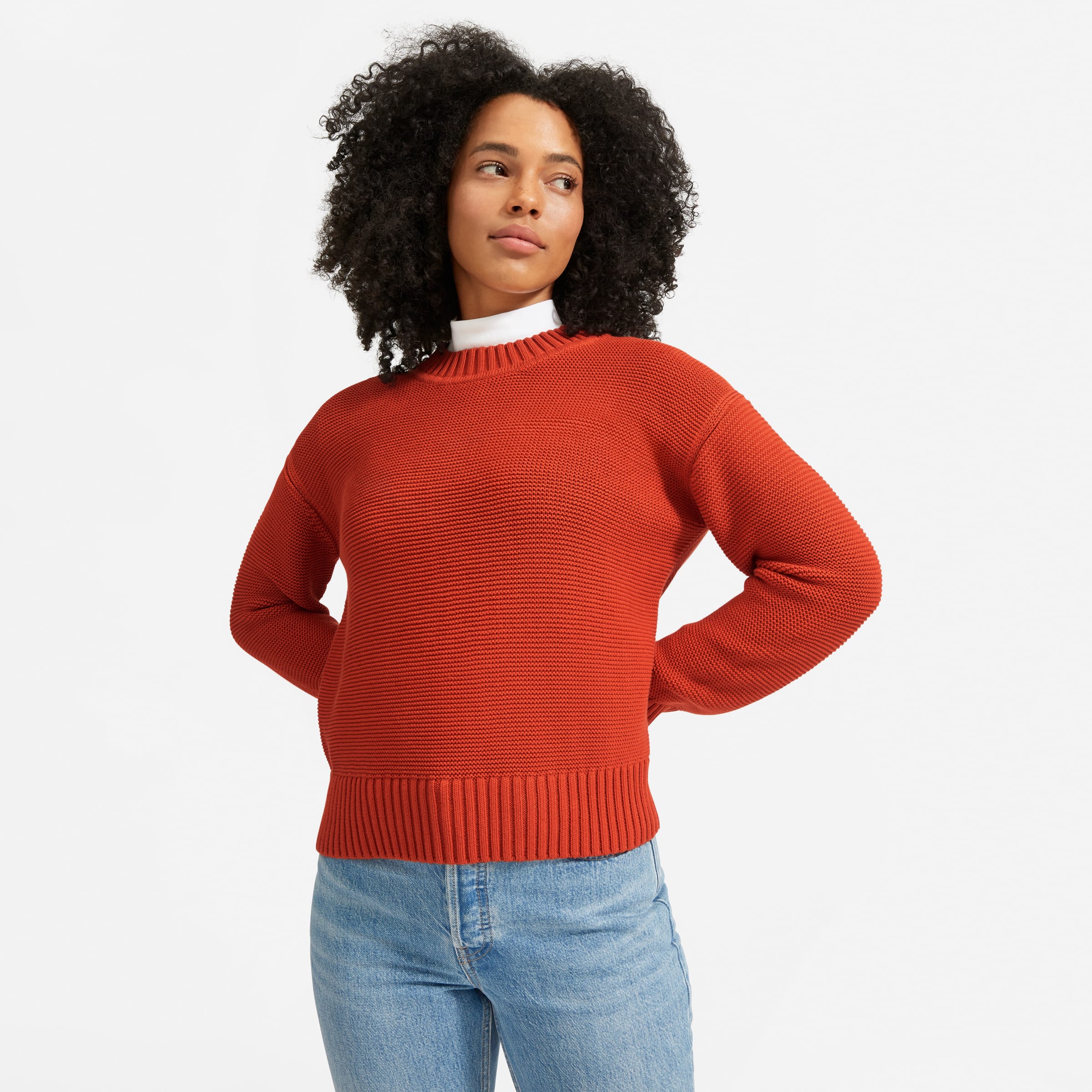 The LinkStitch Crewneck Sweater Rust Everlane