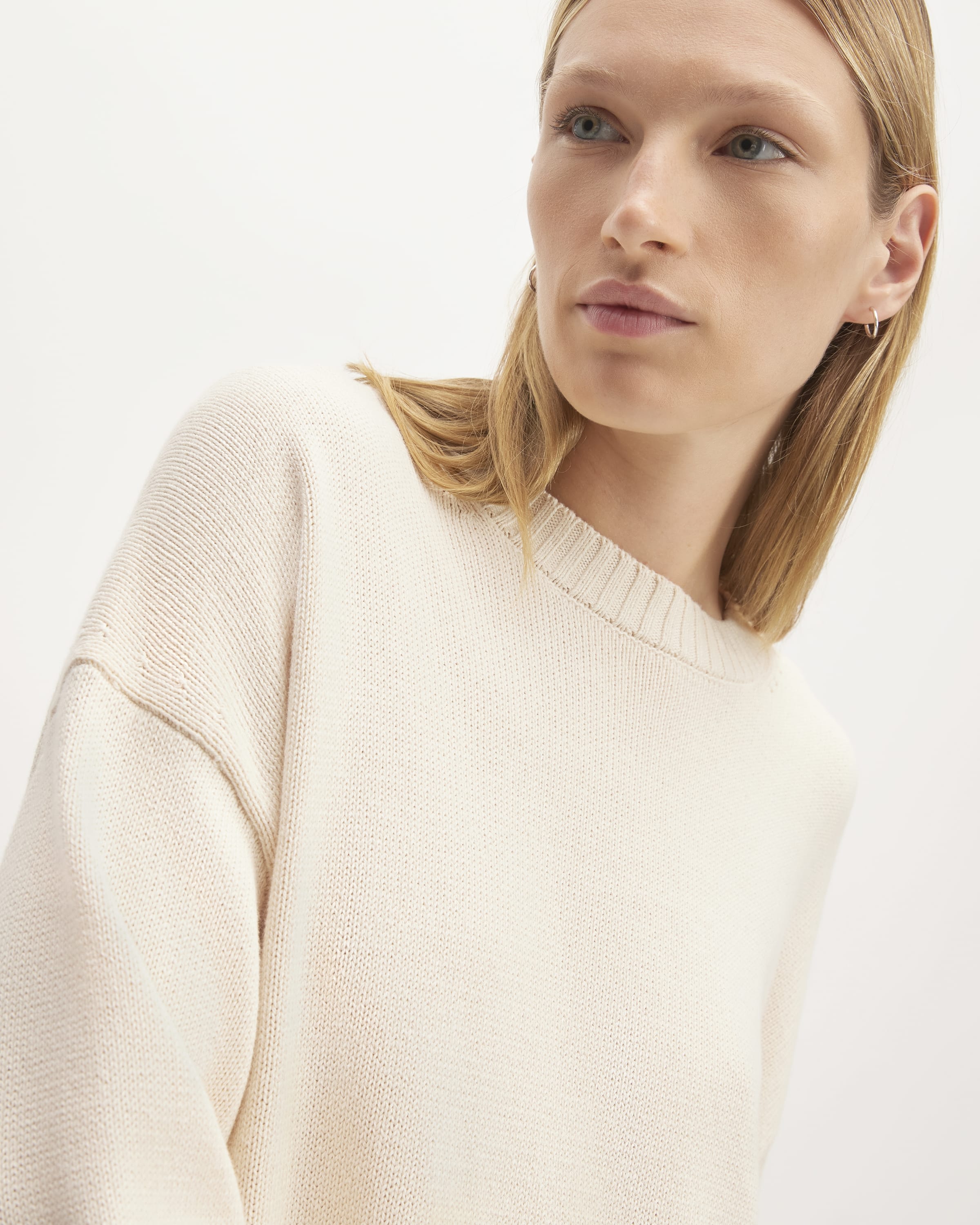 The Organic Cotton Crew Sweater Canvas Everlane