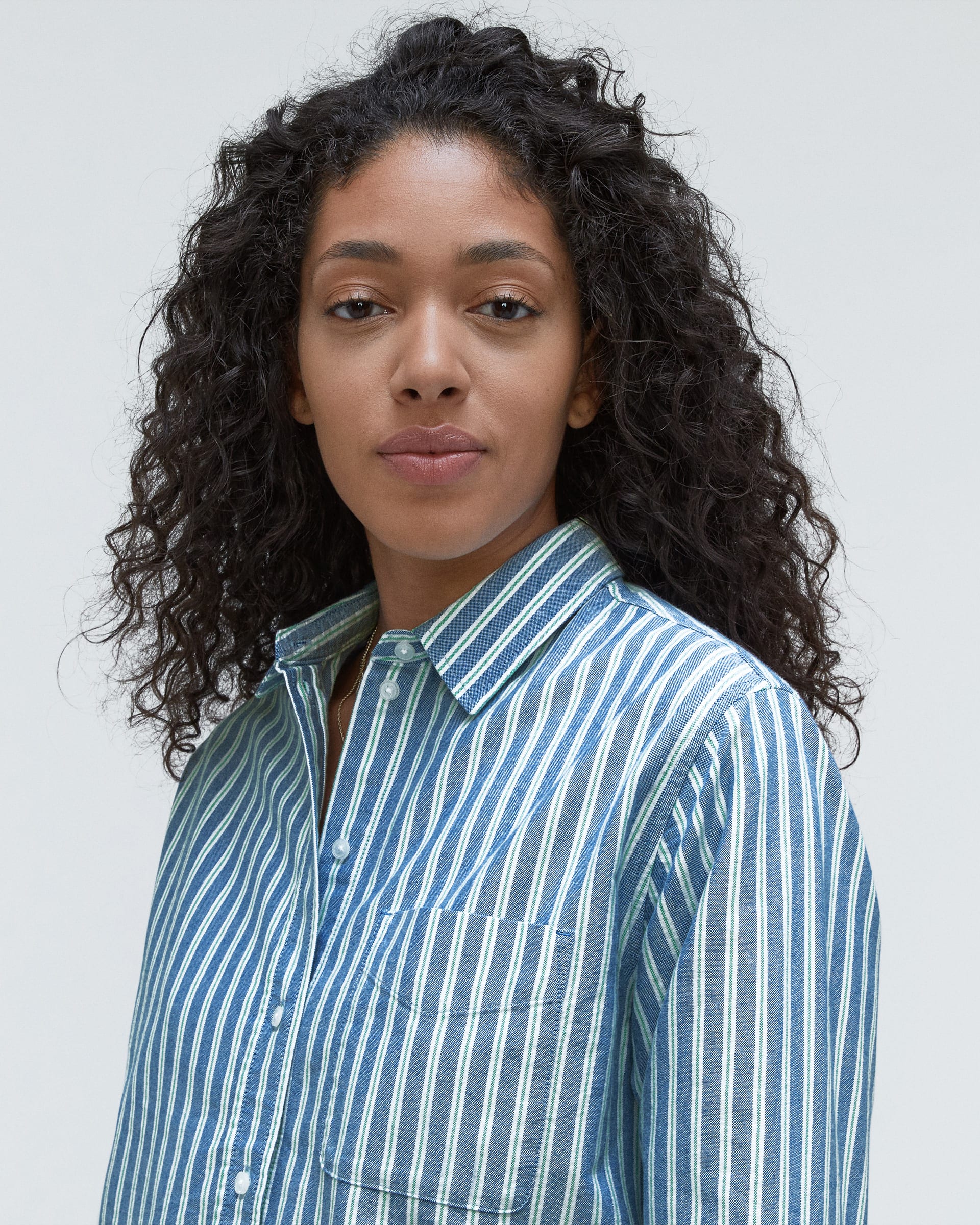 The Relaxed Oxford Shirt Lapis Blue / Bright Jade / Optic White – Everlane