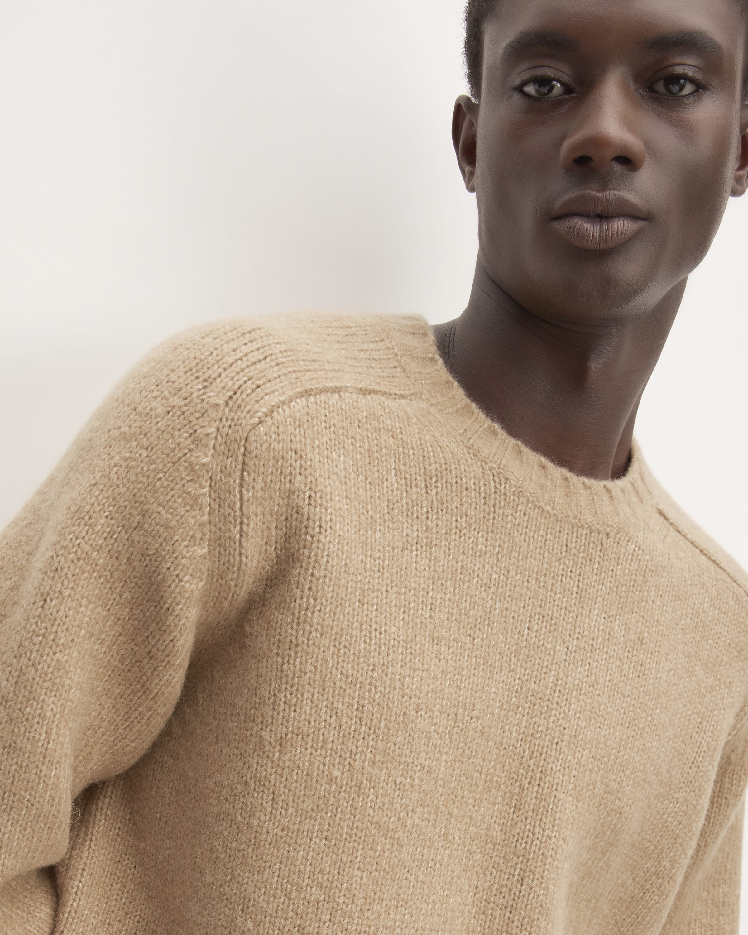 The Cloud Crewneck Sweater Tiger's Eye – Everlane