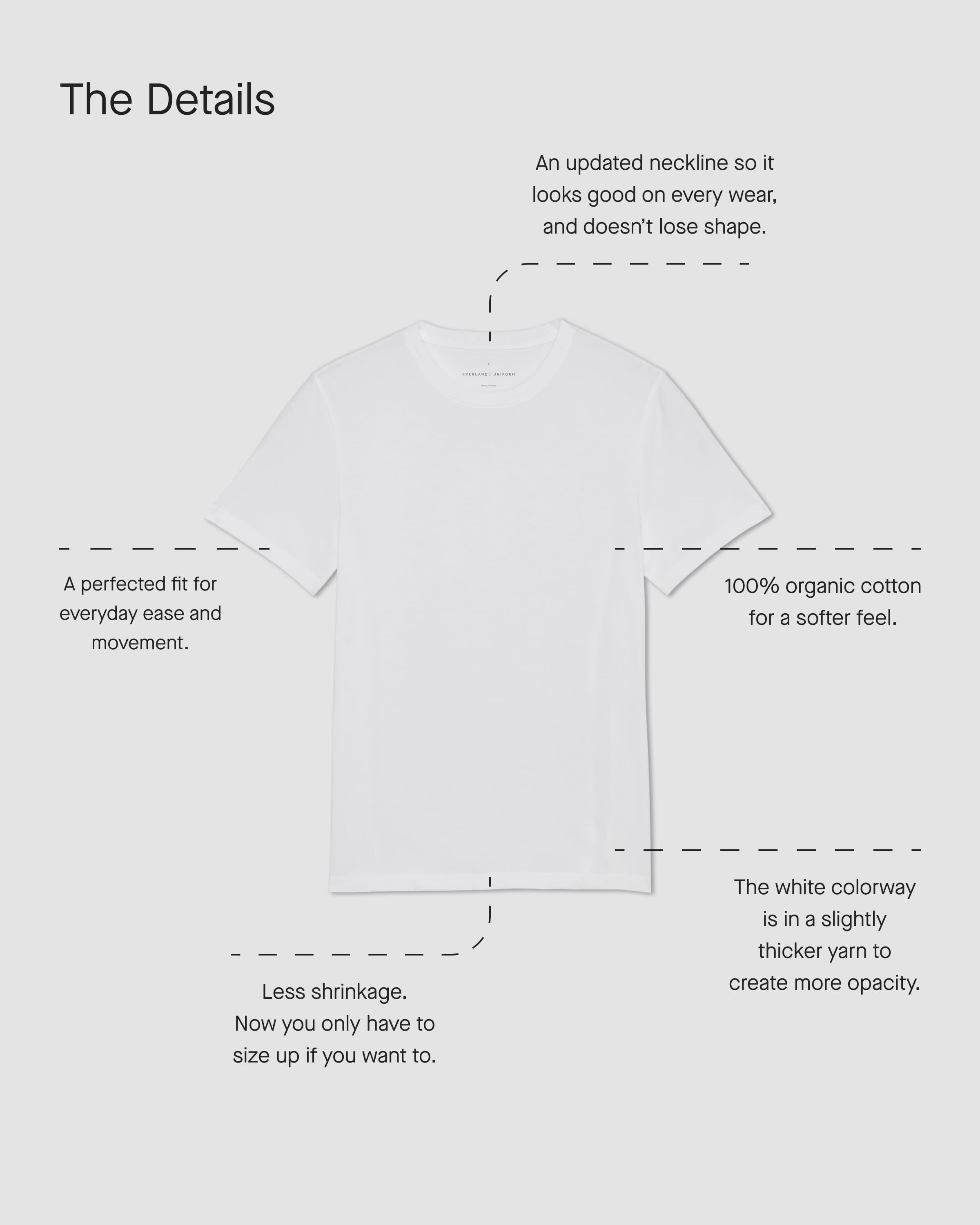 The Essential Organic Crew Kalamata Everlane