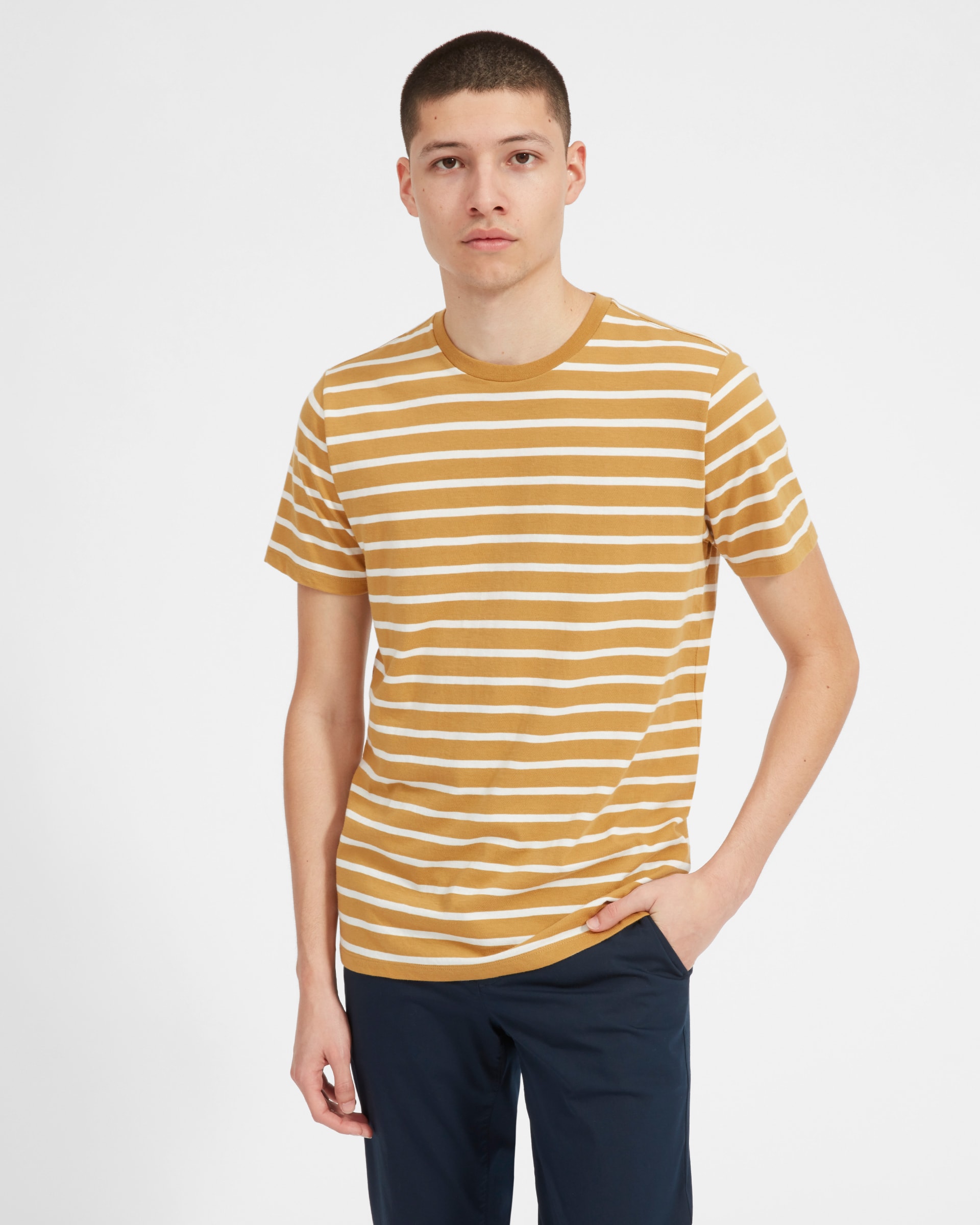 The Cotton Crew Tee | Uniform Mustard / Off White Stripe – Everlane