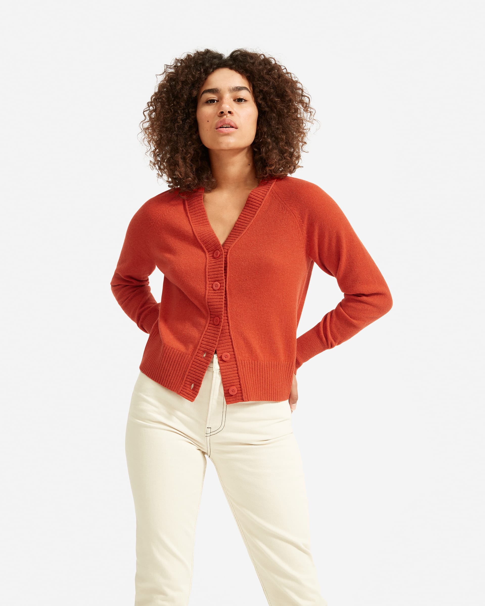 The ReCashmere Varsity Cardigan Rust Everlane