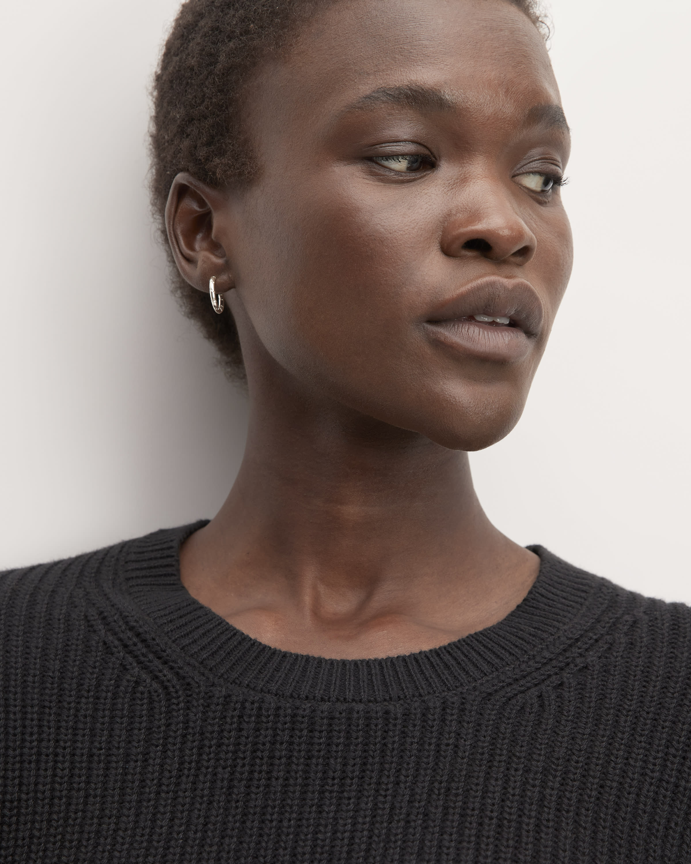 The Organic Cotton Slim Crew Sweater Black Everlane