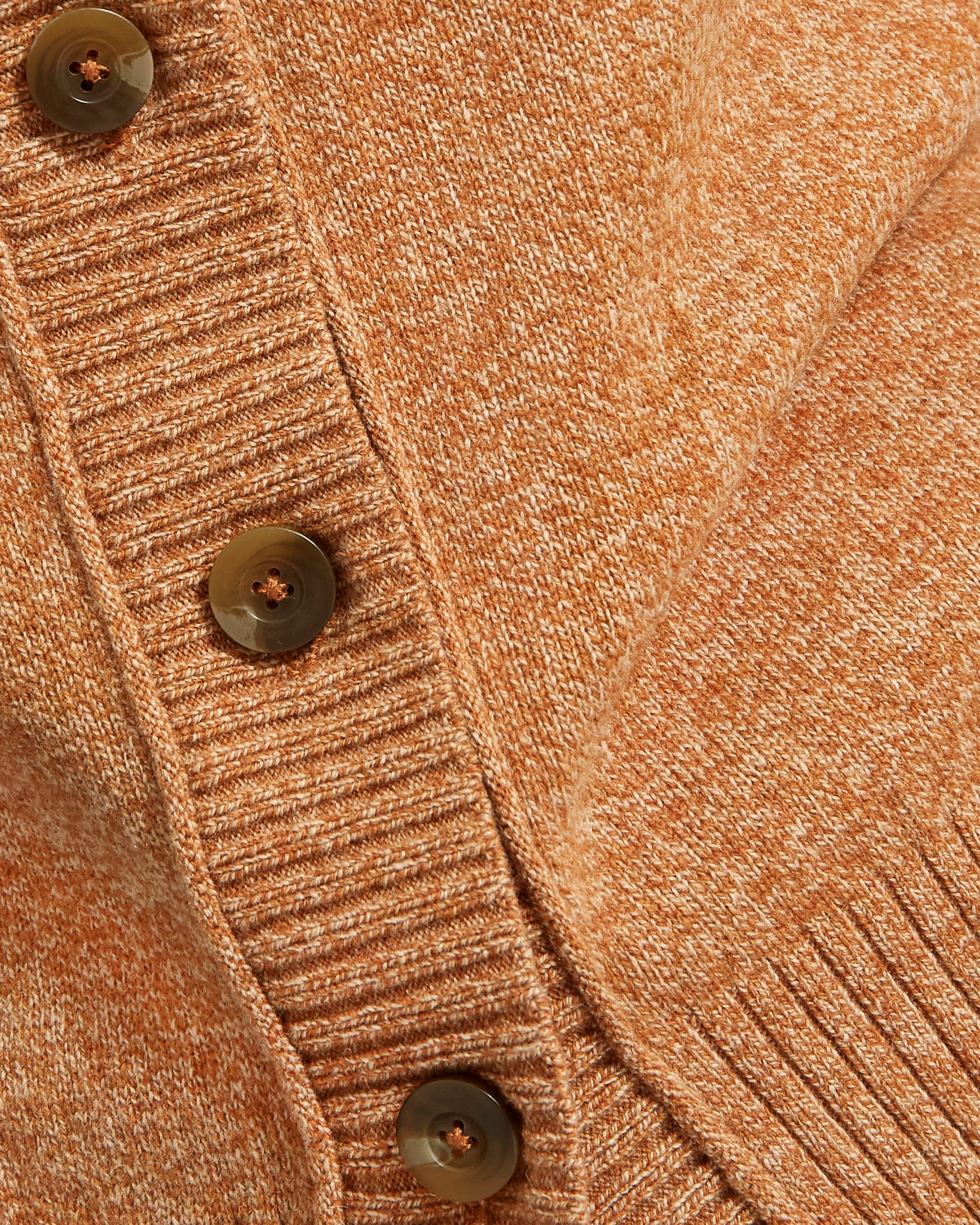 The ReCashmere Varsity Cardigan Spiced Chai Everlane