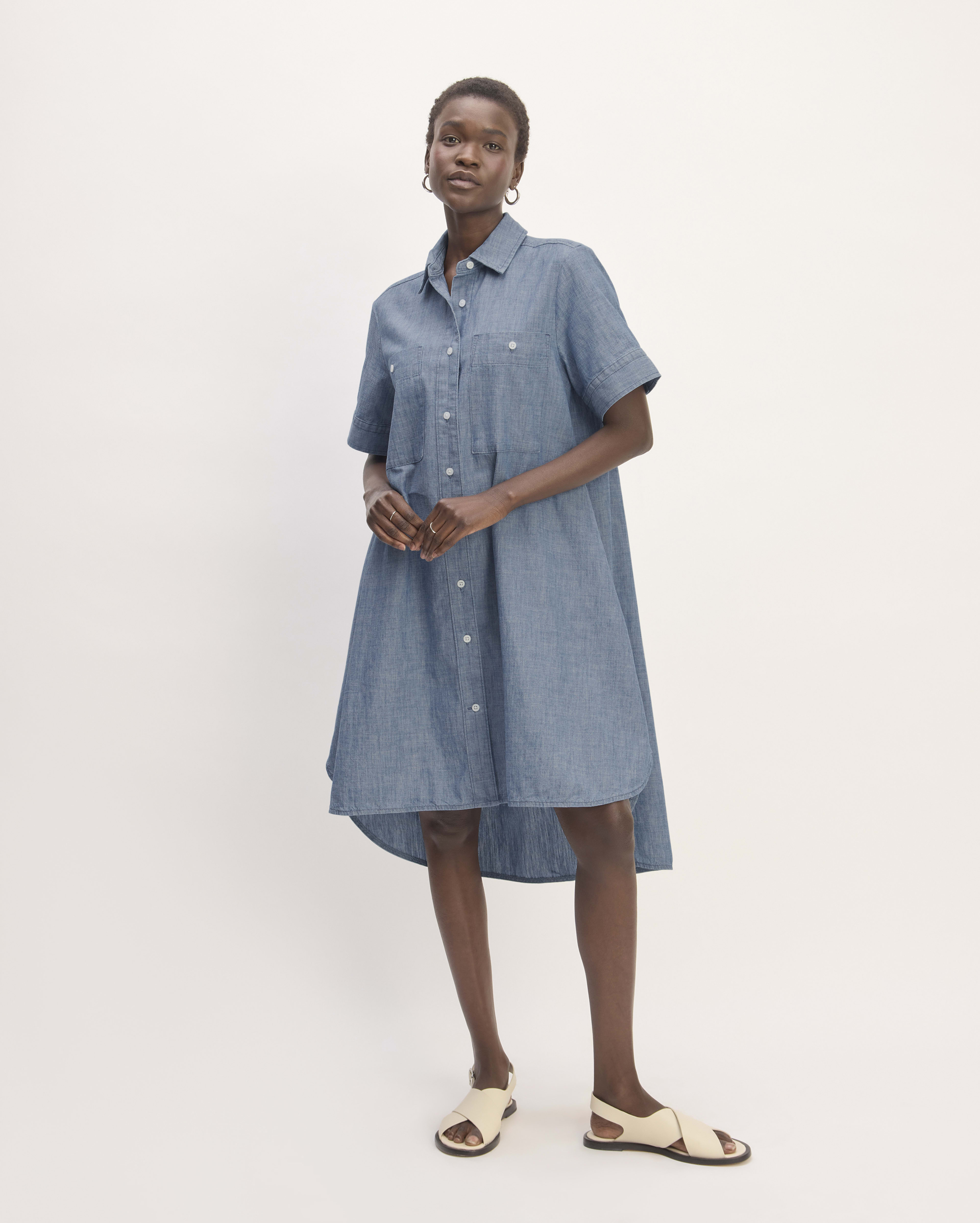 Image of The Daytripper Shirtdress