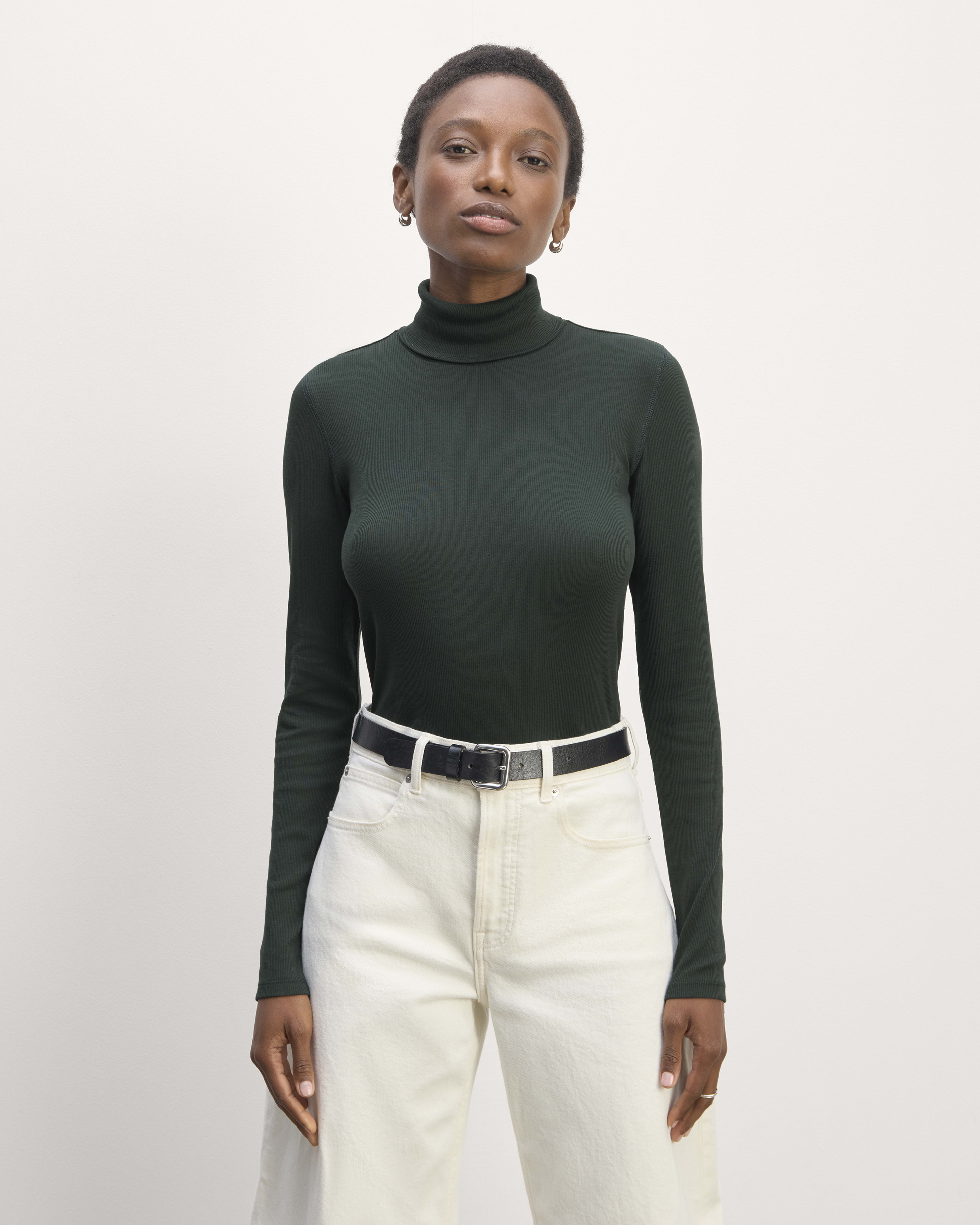The Luxe Rib Turtleneck Scarab Everlane