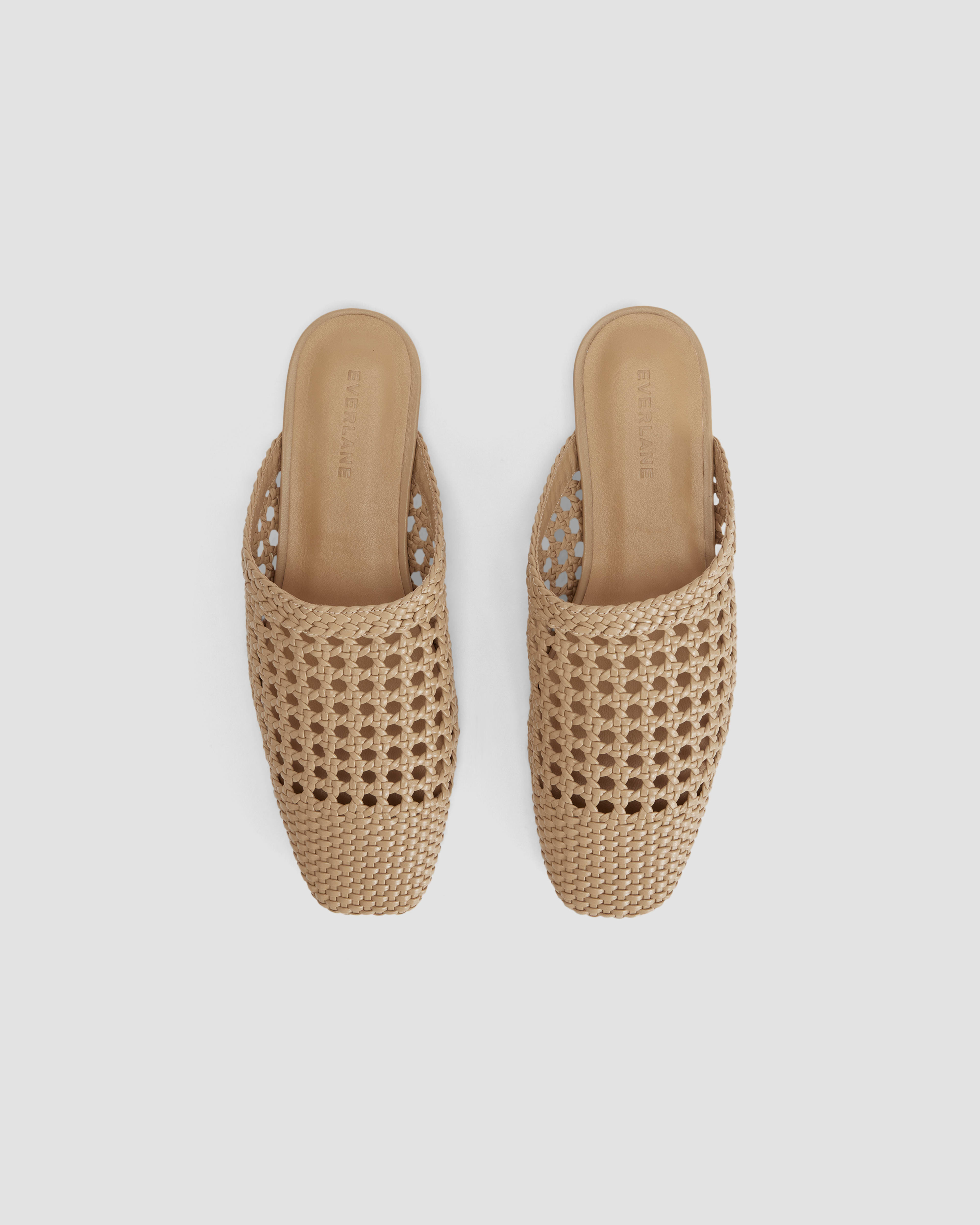 everlane the day mule