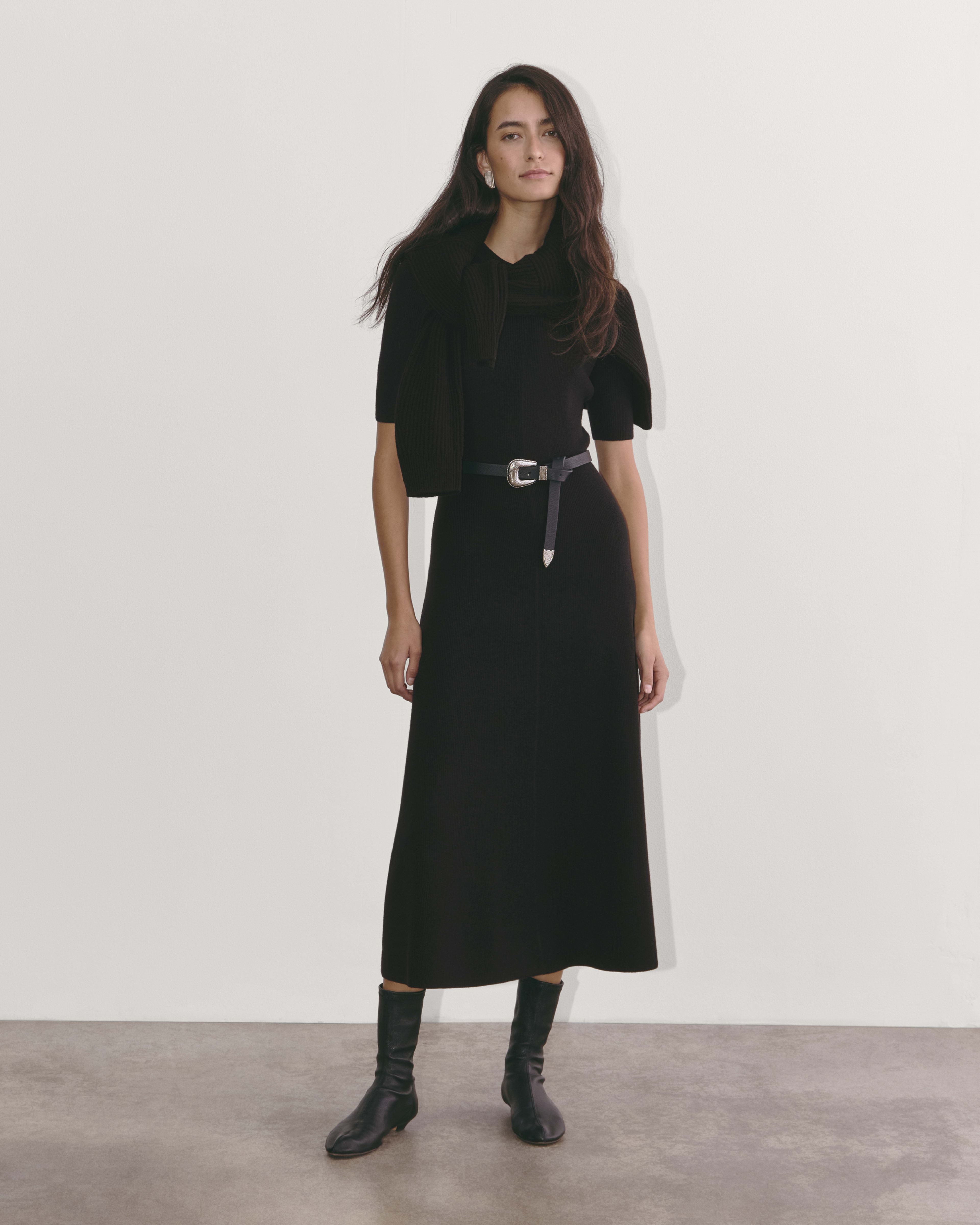 Everlane turtleneck dress new arrivals