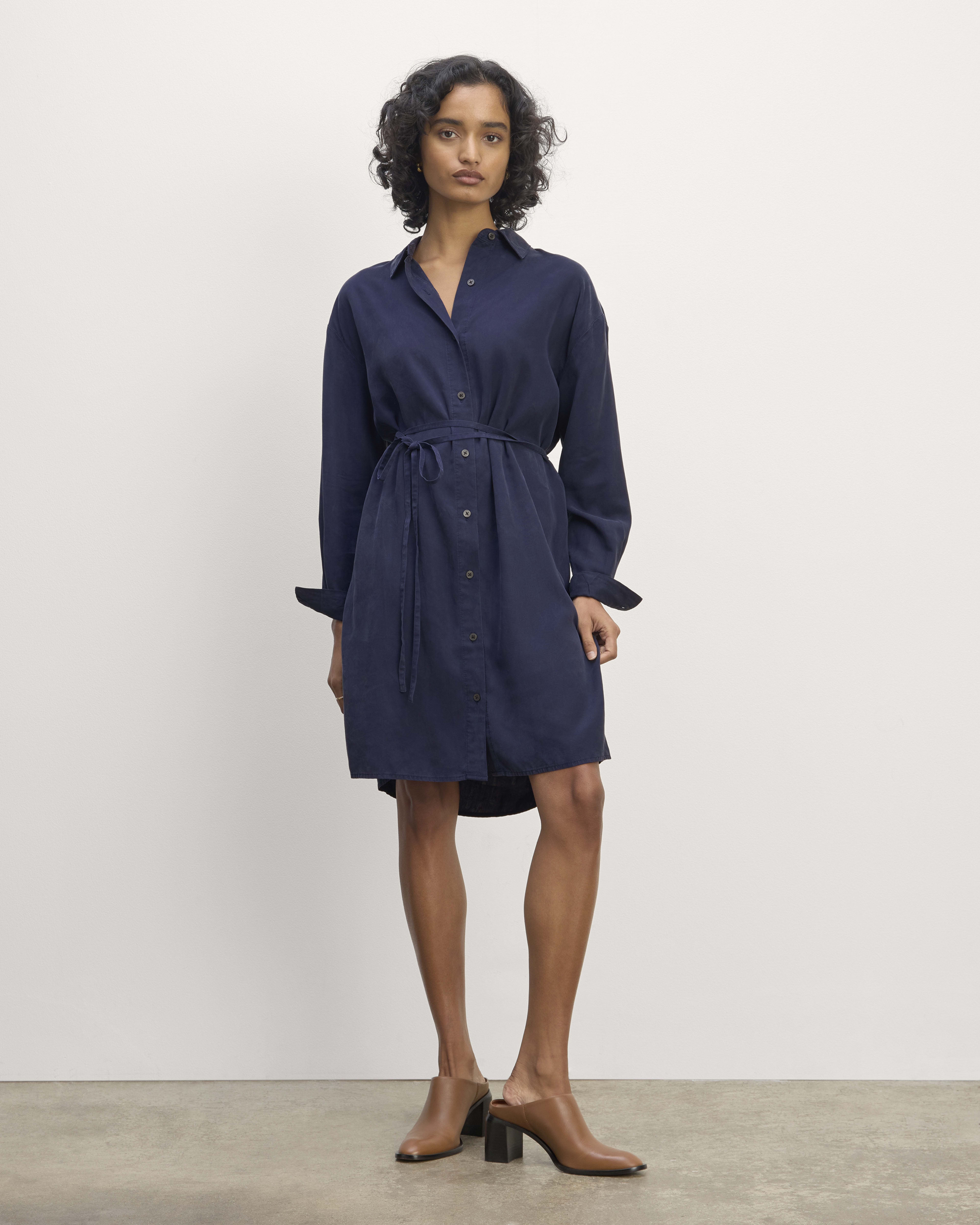 The Must Have Shirtdress in Butterlite Navy Everlane