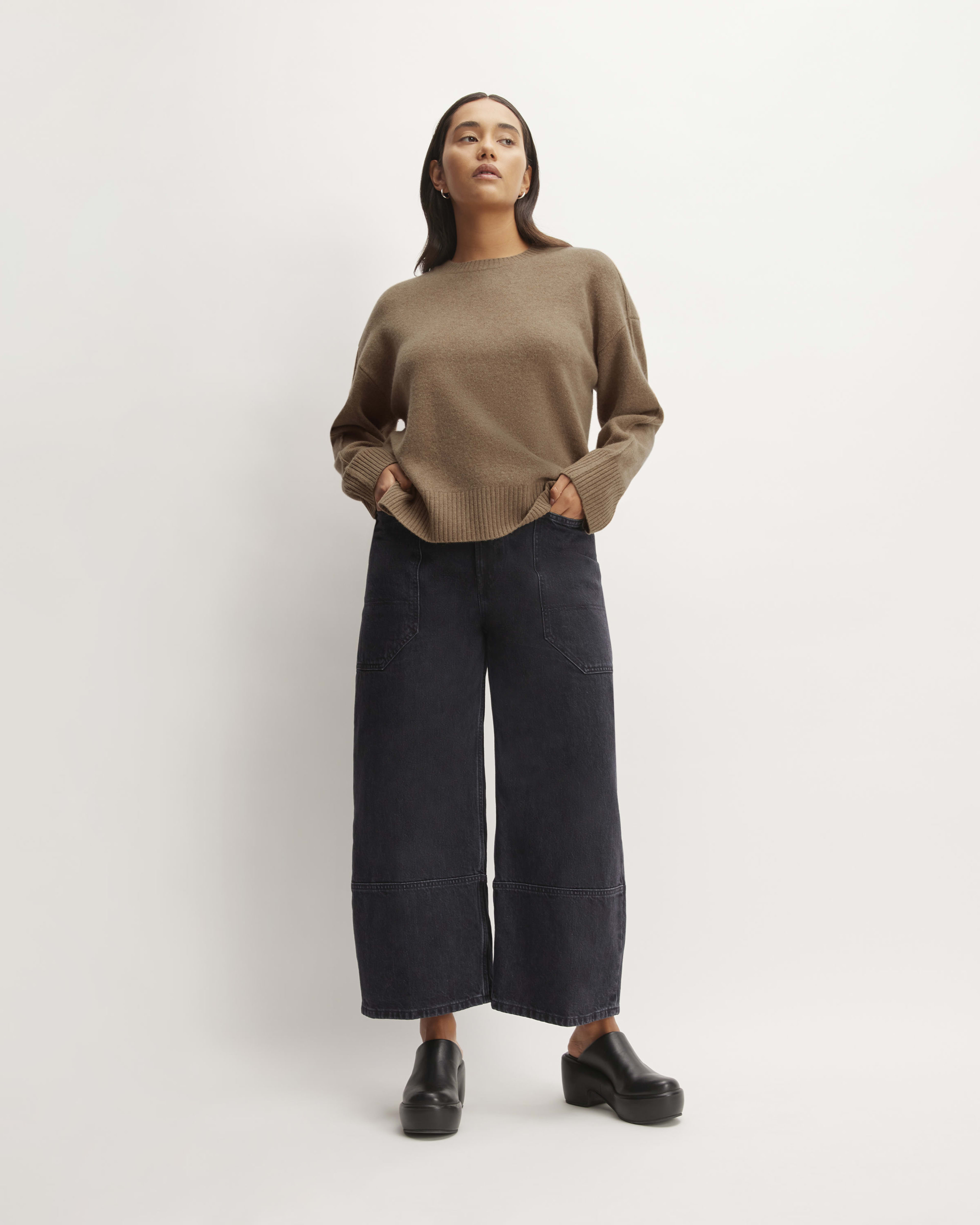The Good Merino Wool Crewneck Sweater Praline Everlane