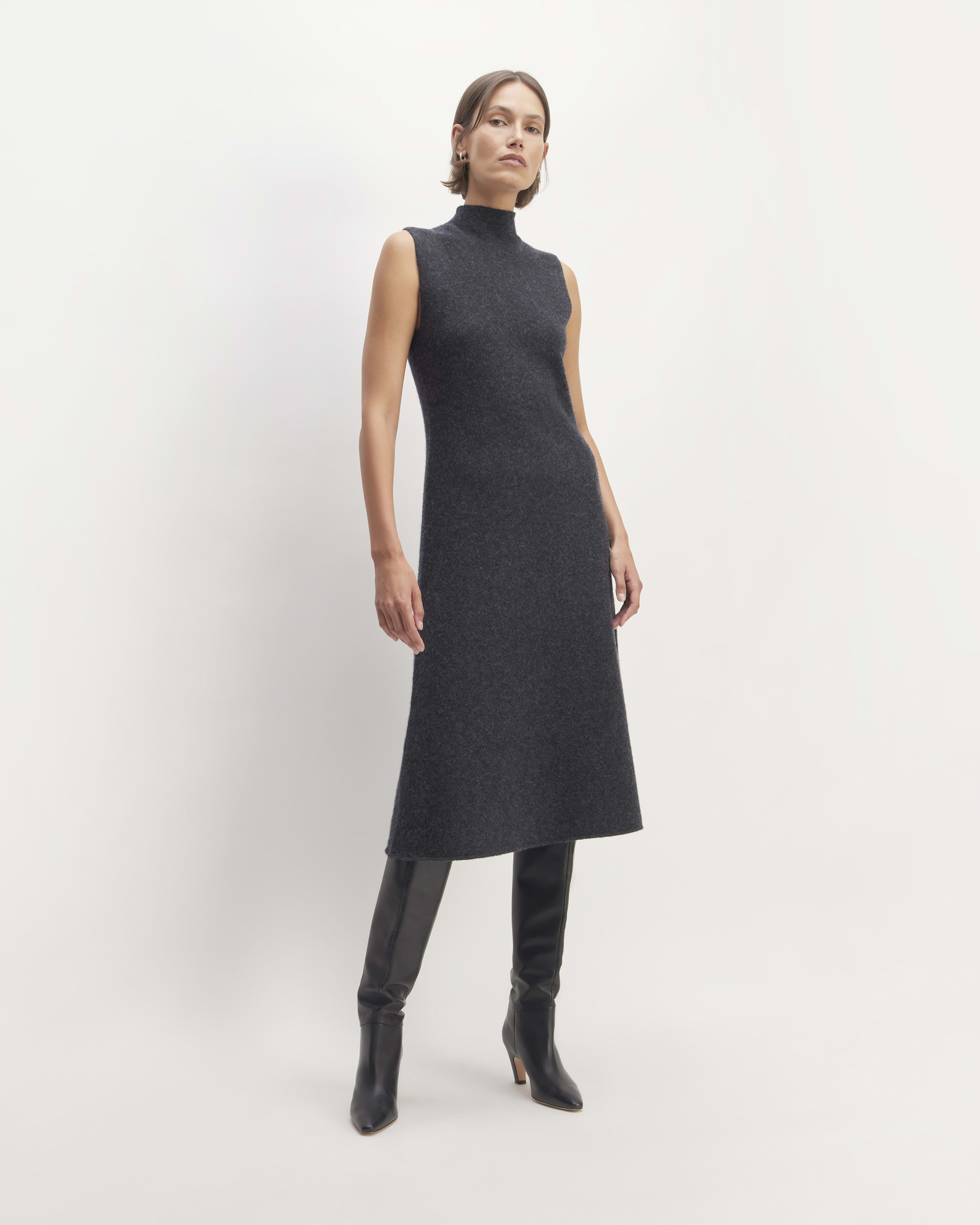Everlane turtleneck dress top