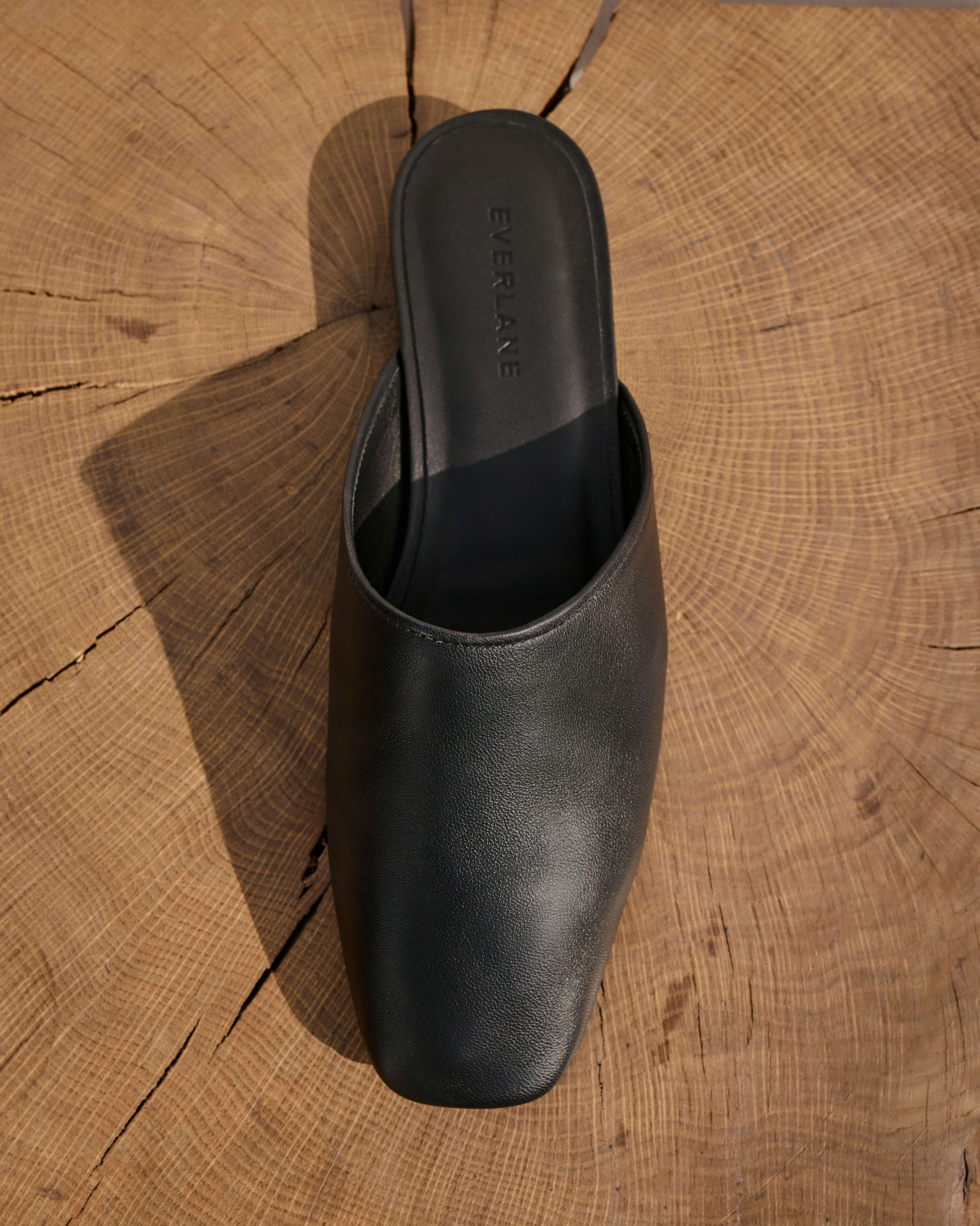 everlane the day mule