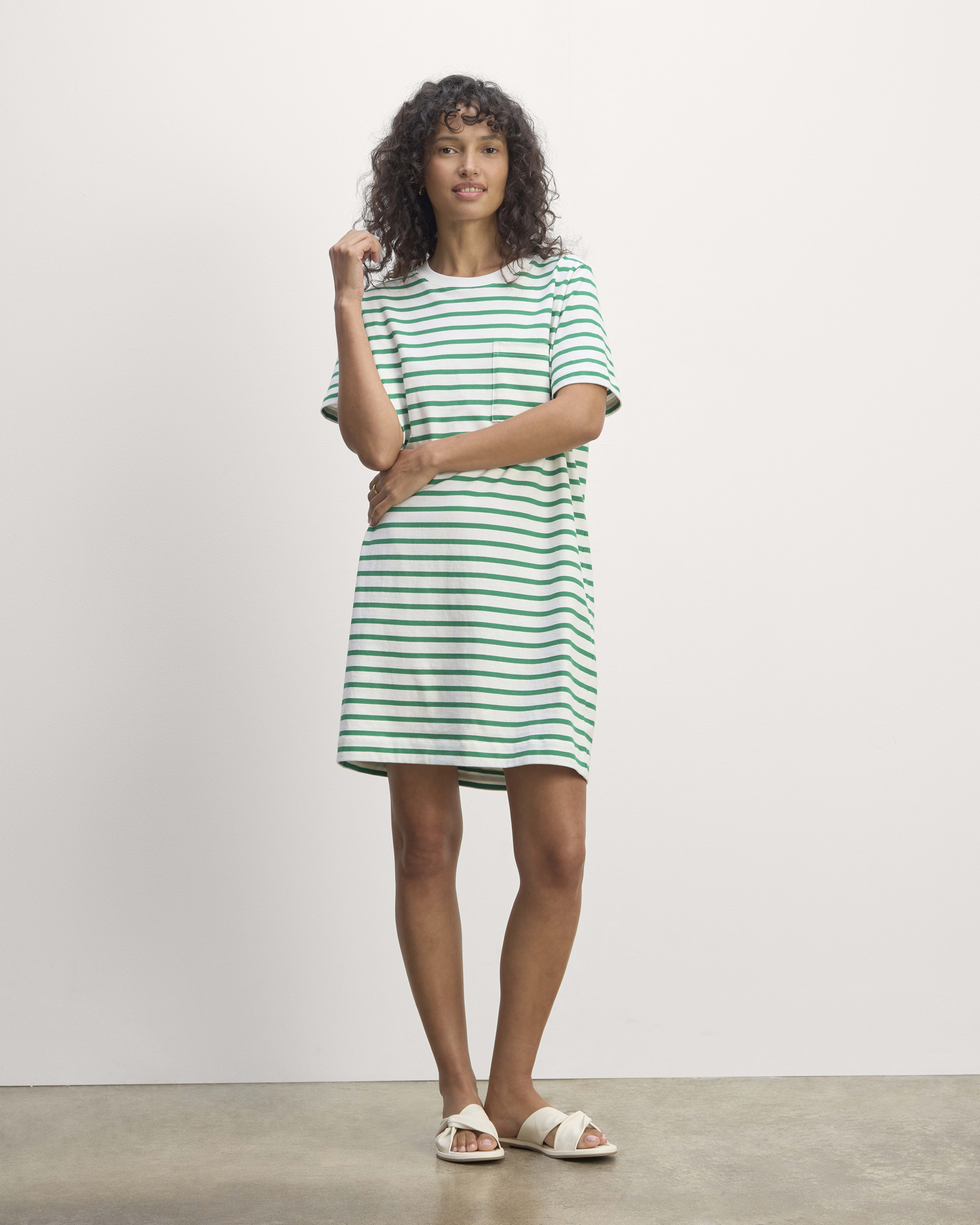 The Organic Cotton Weekend Tee Dress Bone Grass Green Everlane