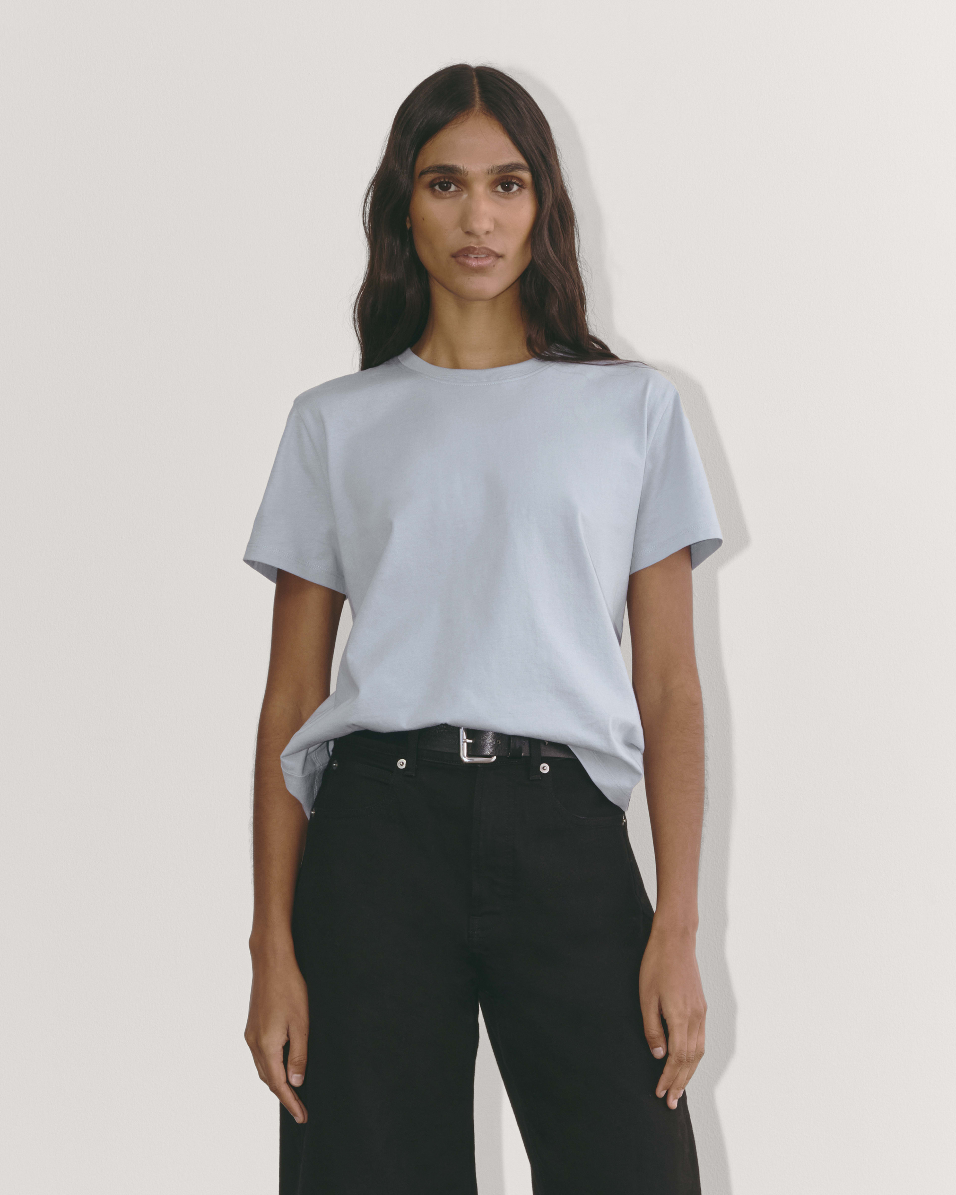Everlane short sleeve sweatshirt shop