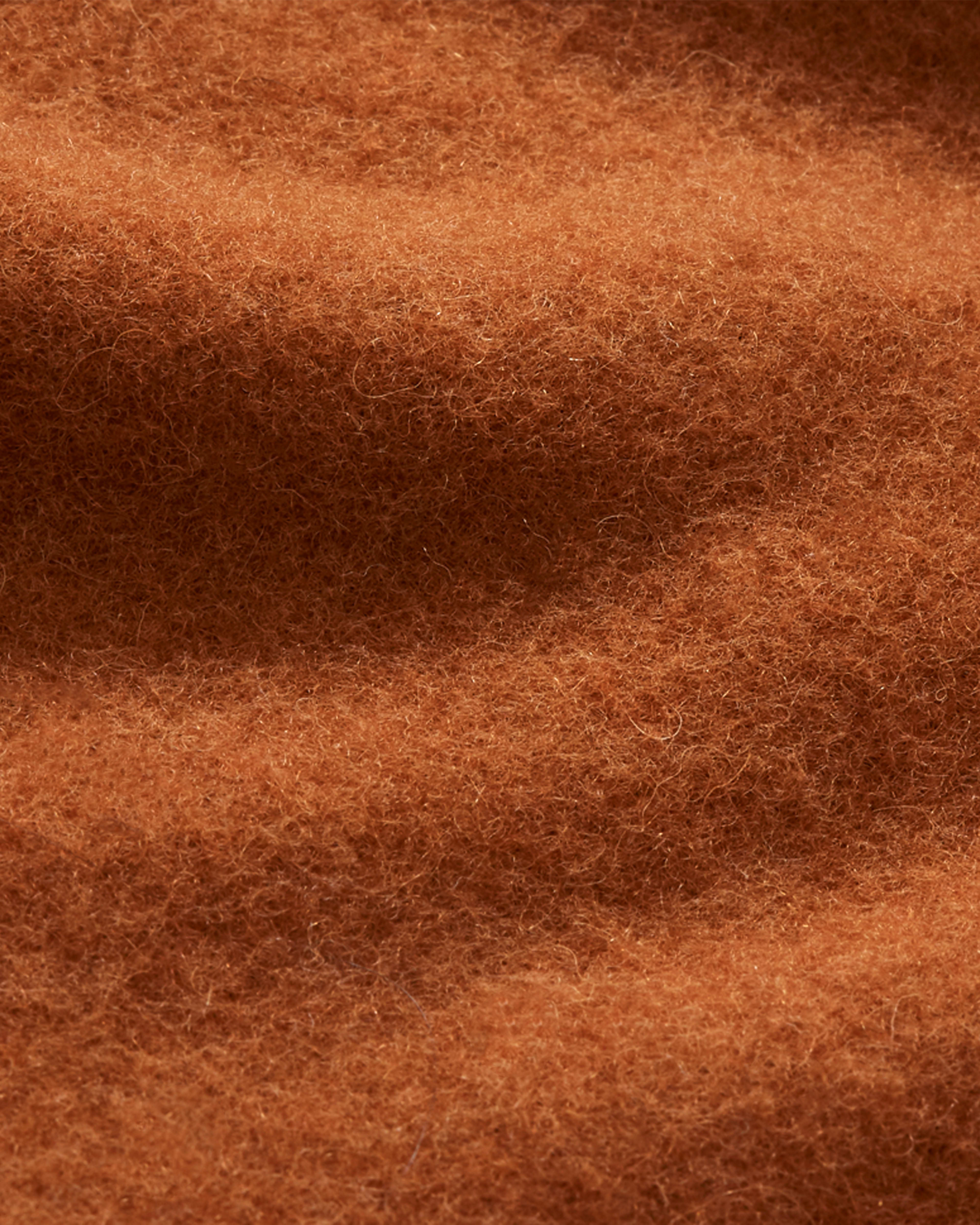 The WoolCashmere Blanket Scarf Cider Everlane